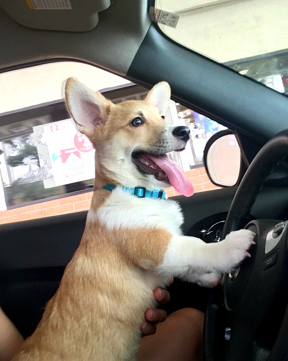 My first time being DD. We made it home safe🤪