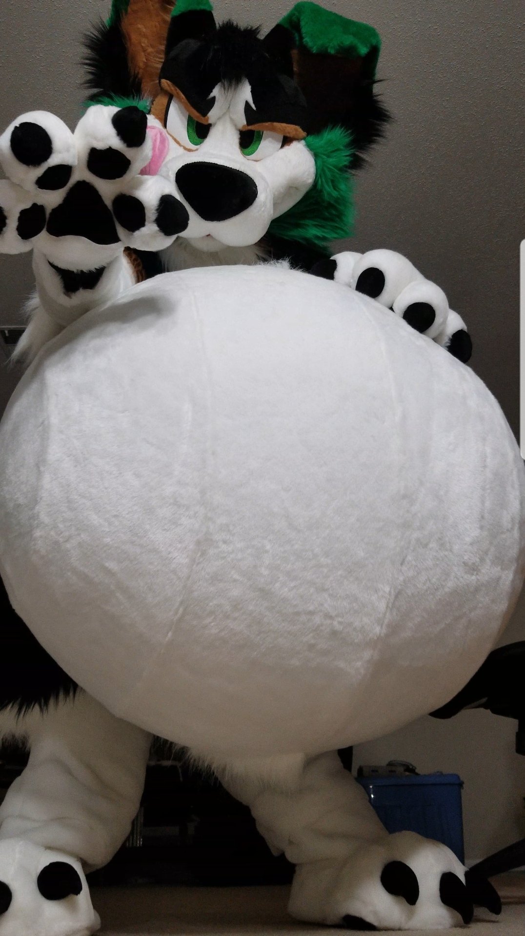 Why do furries think this is hot? r/yiffinhell