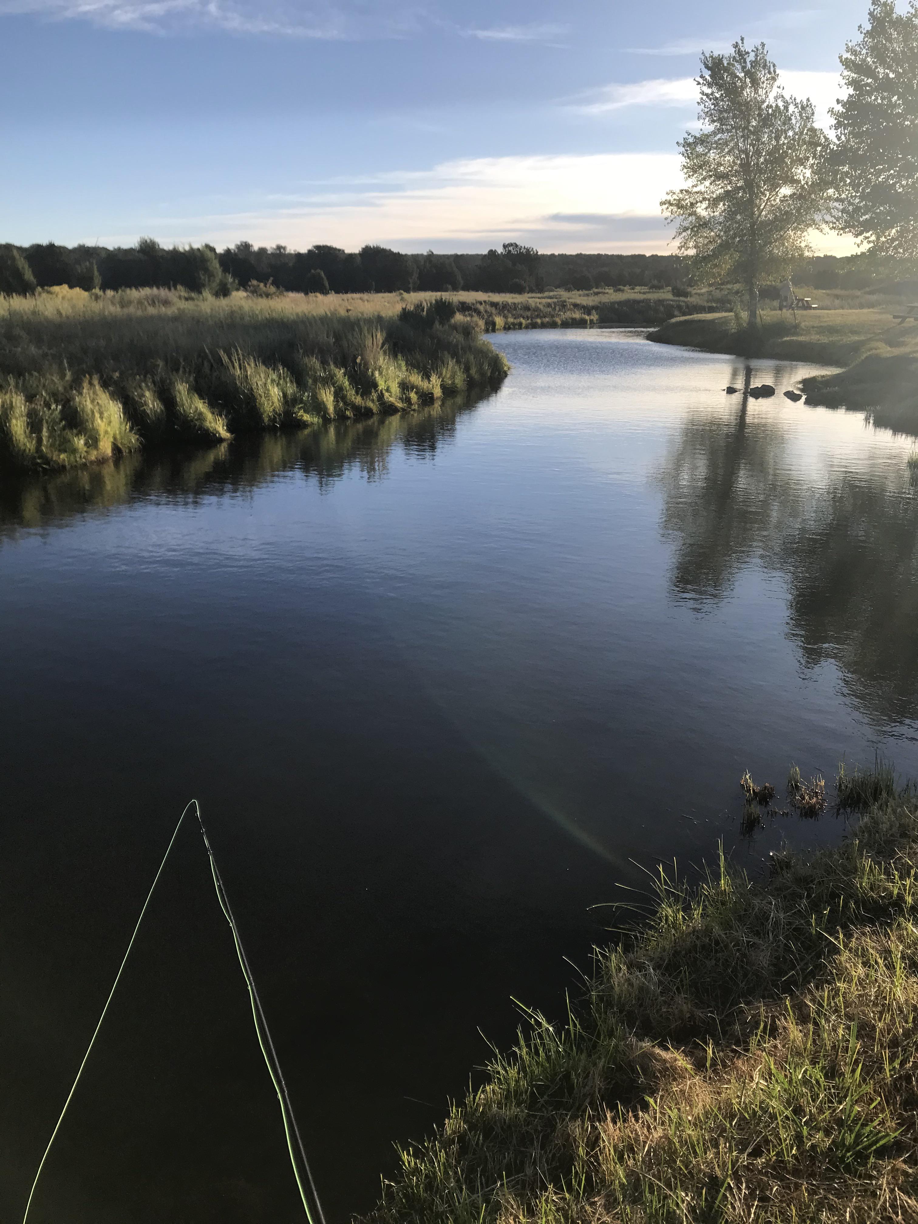 Silver creek, show low AZ r/arizona