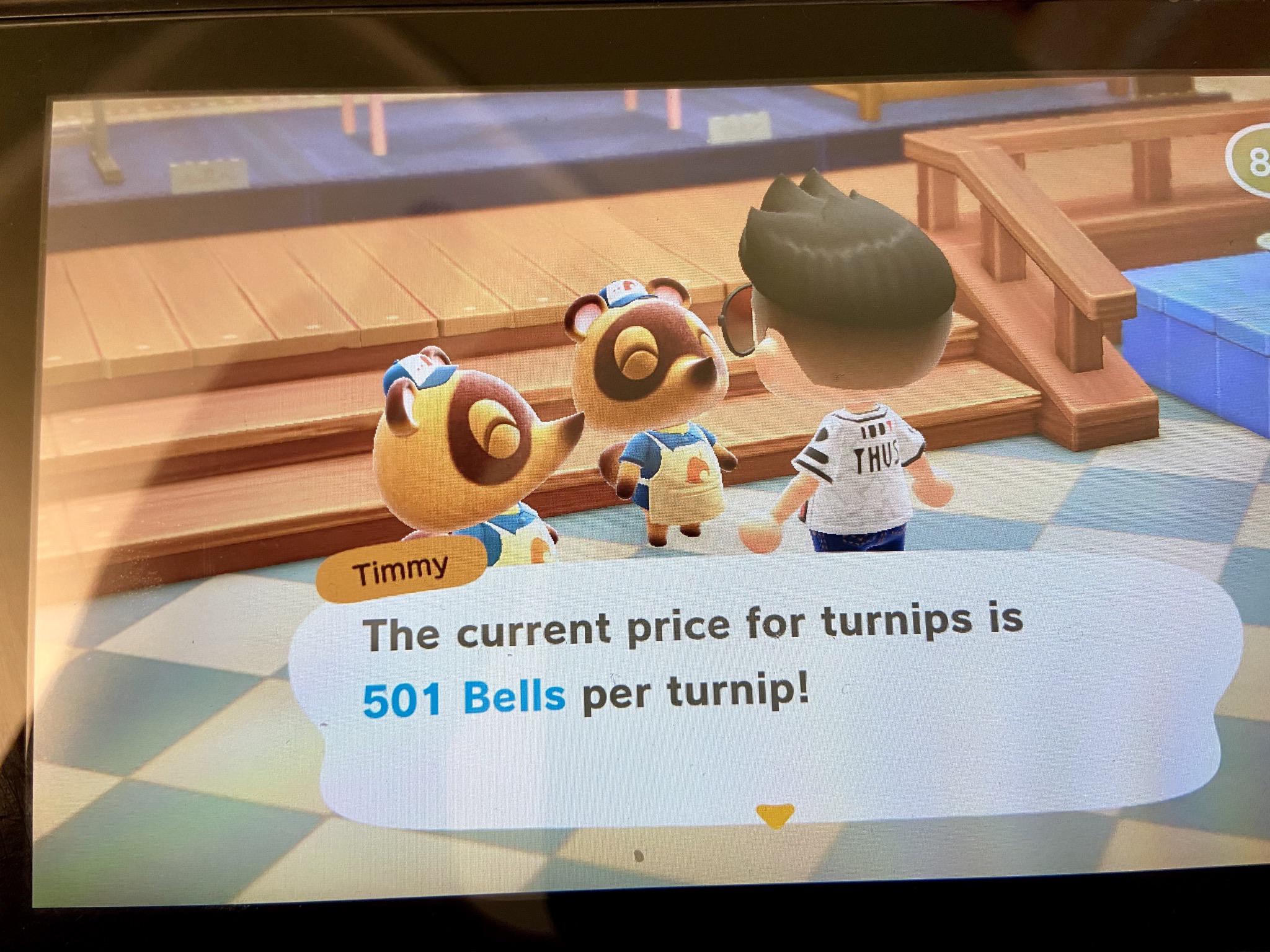 501 Turnip prices. I'm working from home but will slowly let people in