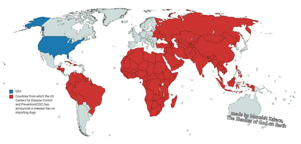 US temporarily bans dogs brought in from 113 countries over rabies