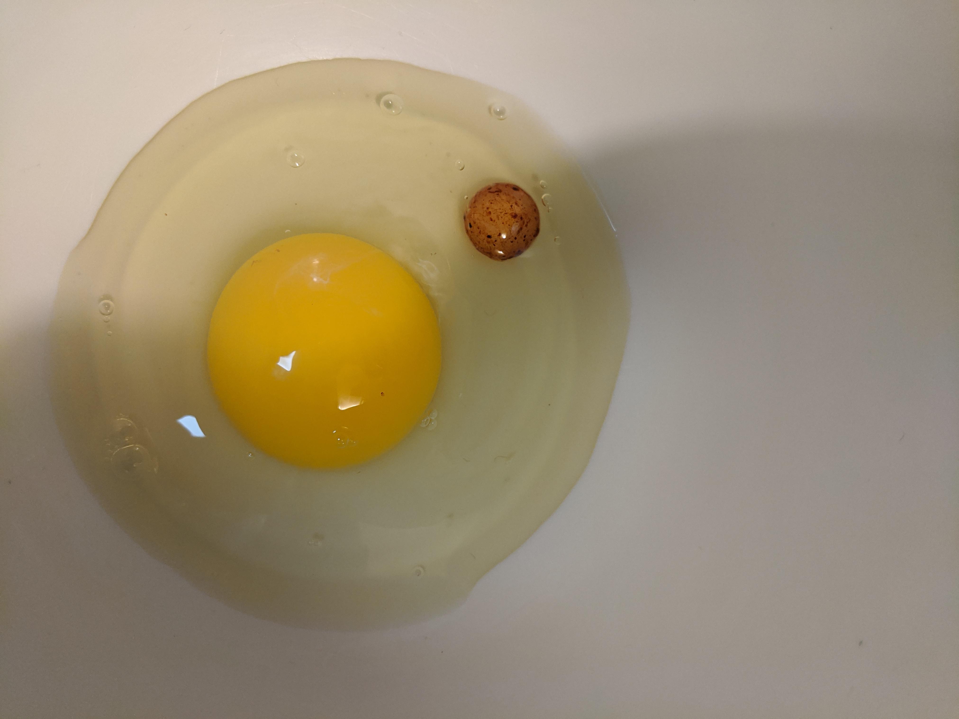 Egg tumor? It's soft. r/whatisit