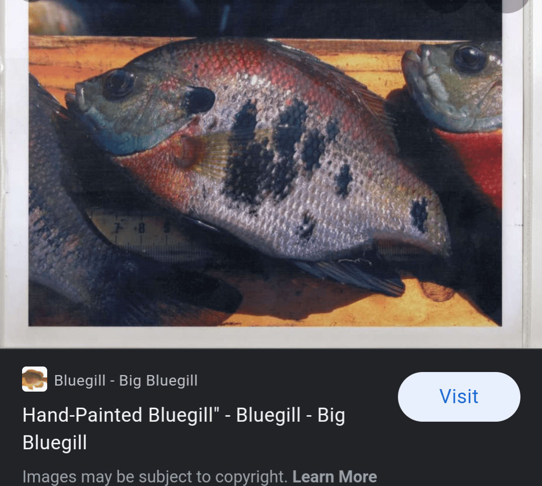 Never heard of these until today. Handpainted bluegill are a