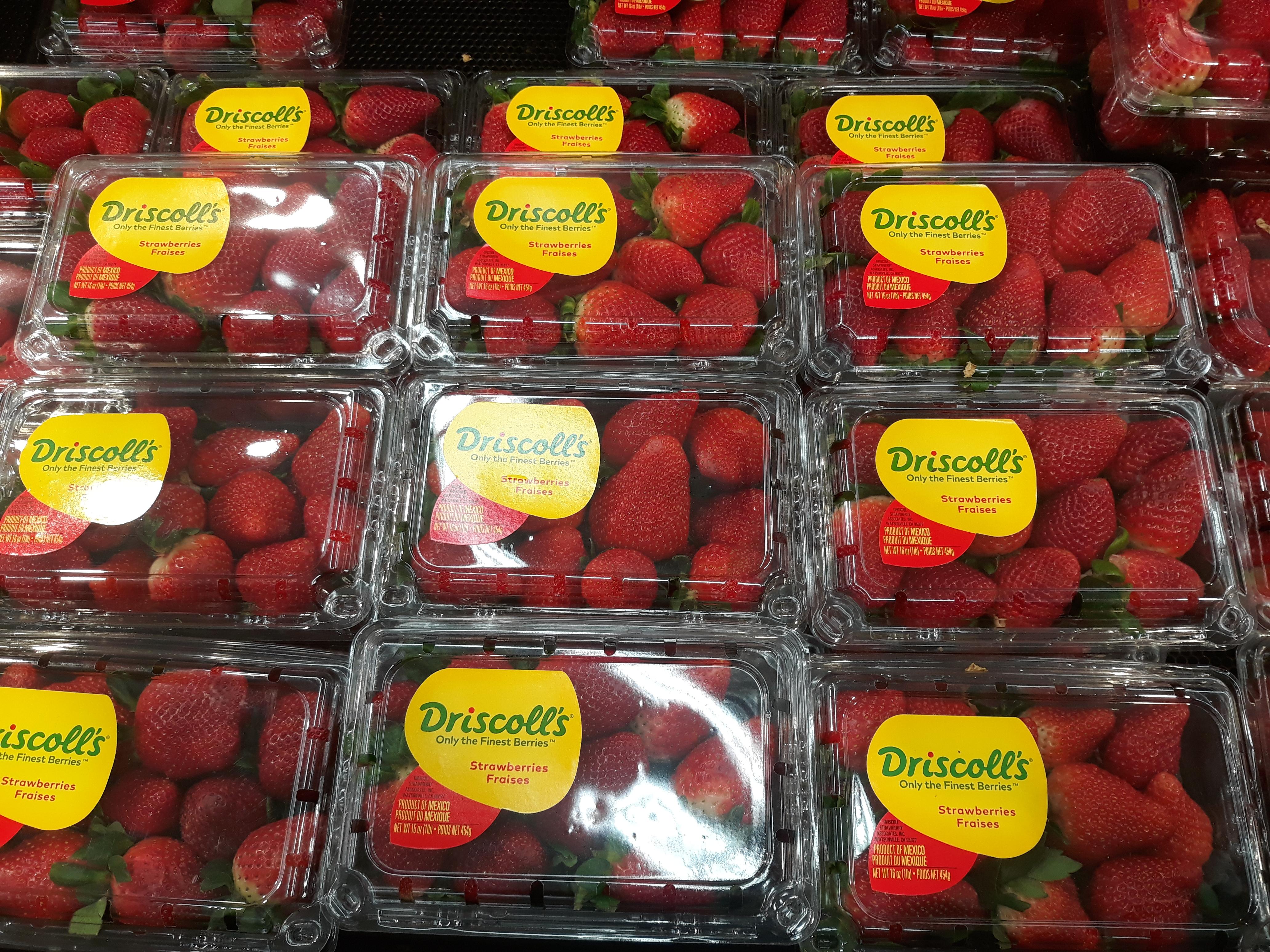 Those goddamn O'driscolls!!! r/reddeadredemption2