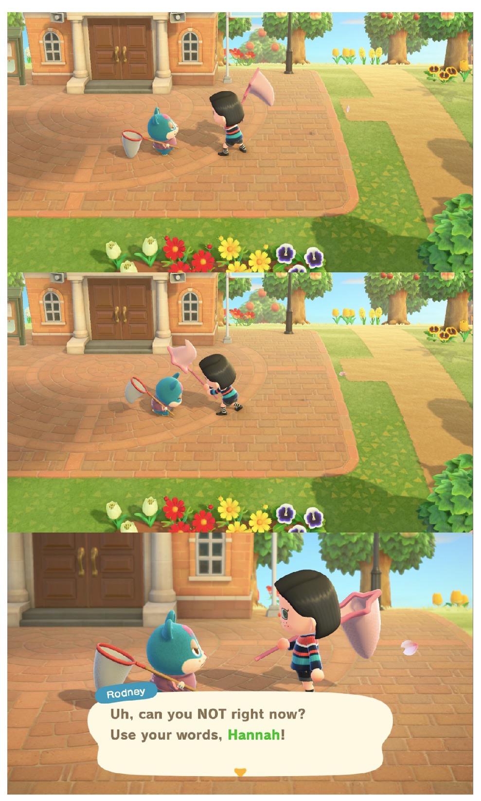 Day 1 of trying to get Rodney to move out r/AnimalCrossing