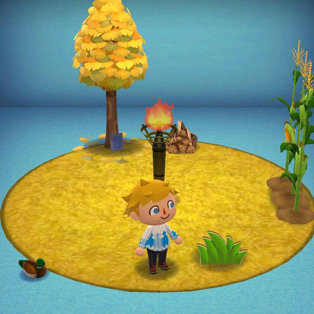 Got inspired by someone else who made an Island like cabin and created