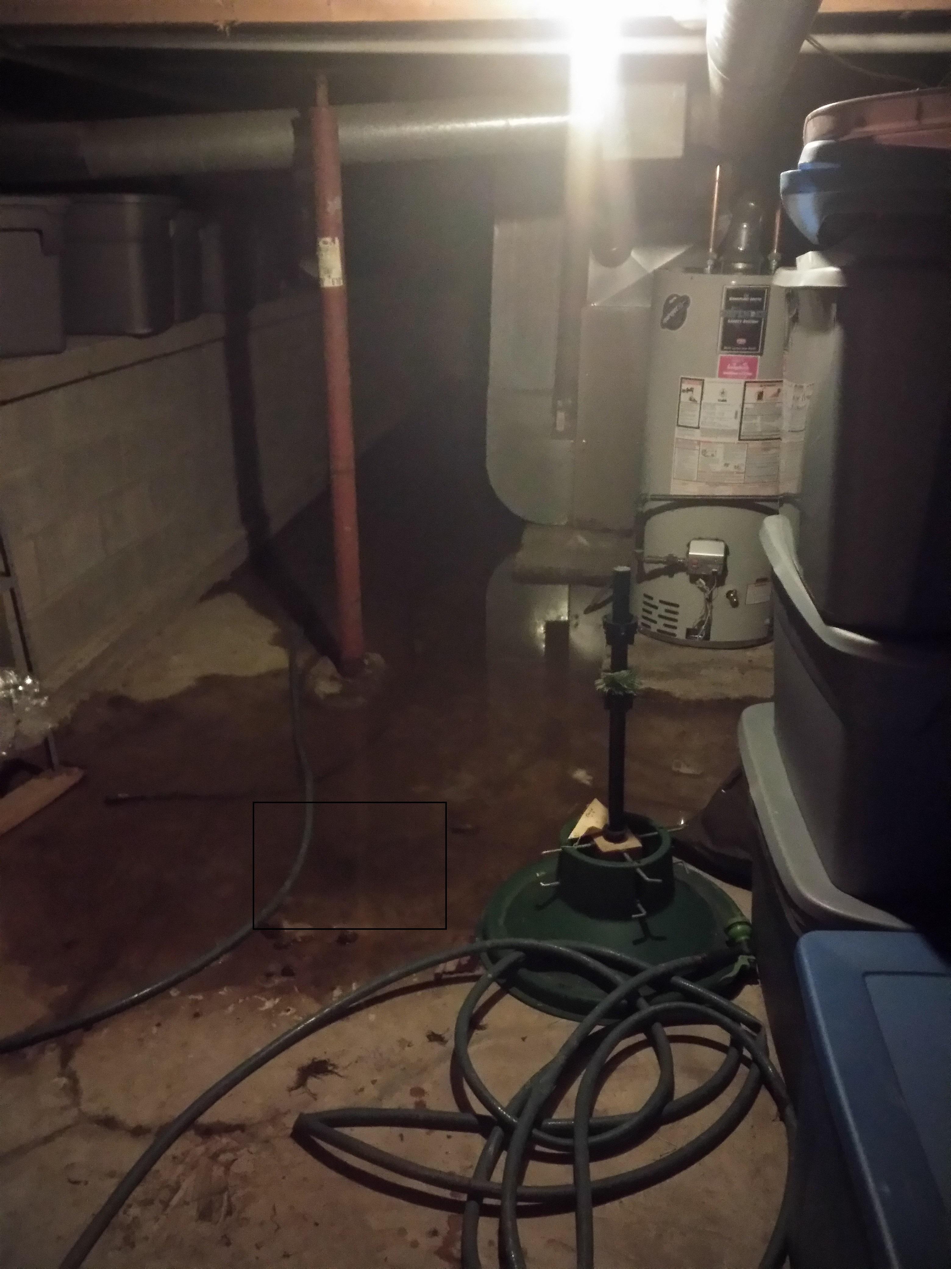 Frozen Drain? Maybe? r/fixit