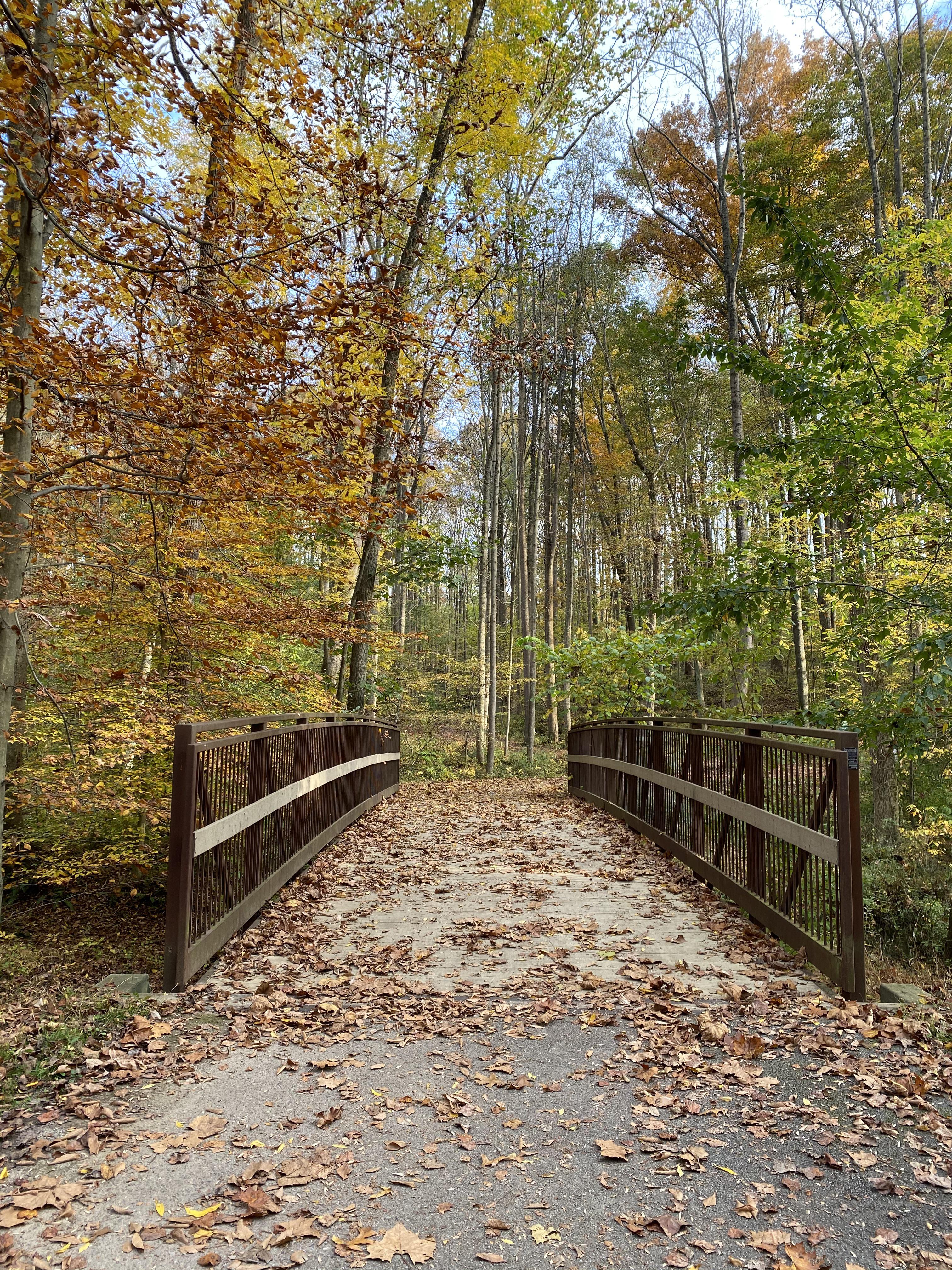 Rock Creek Trail near Lake Frank, Rockville, MD r/maryland