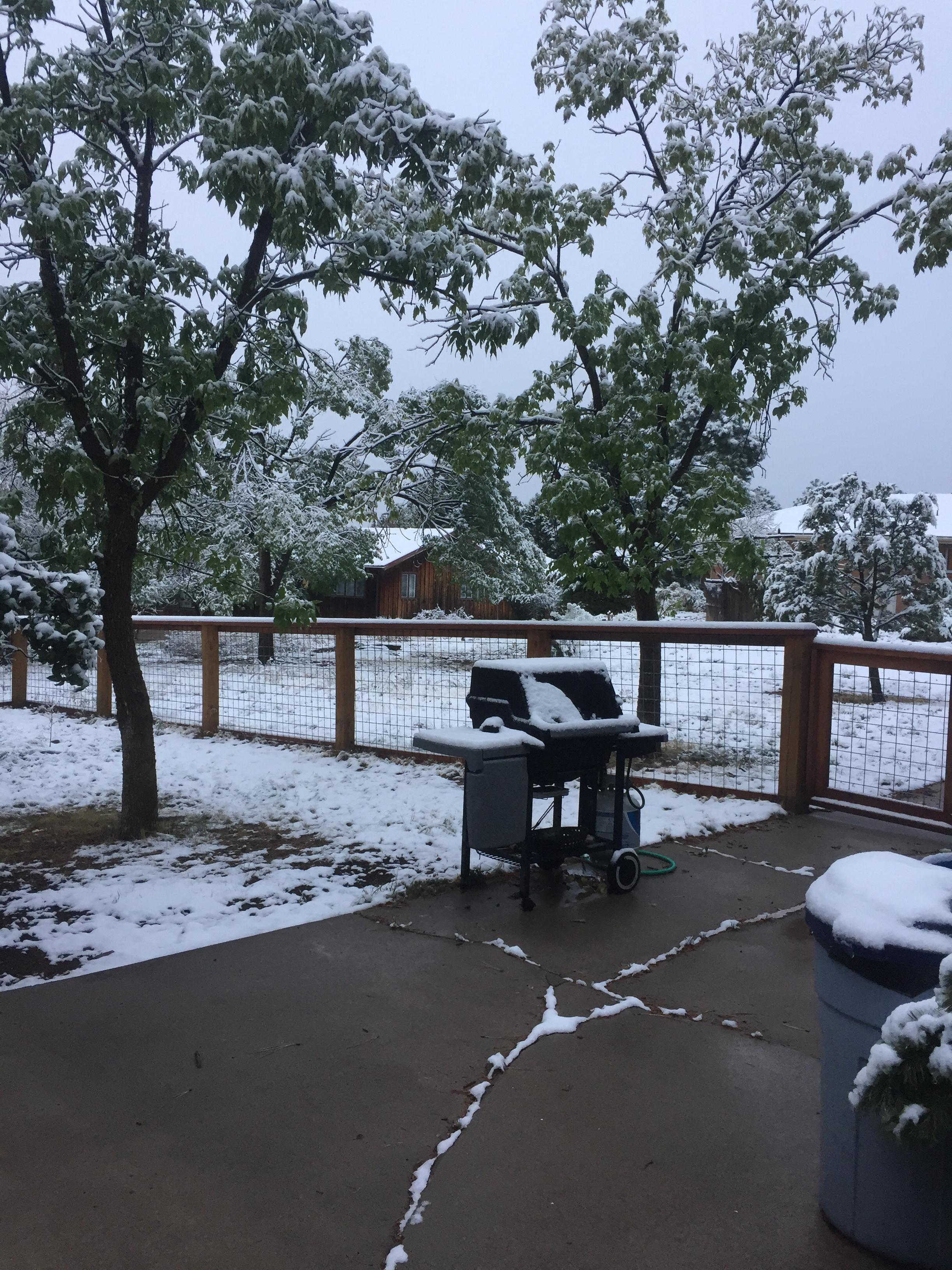 In Los Alamos right now. I've never seen snow this early... r/NewMexico
