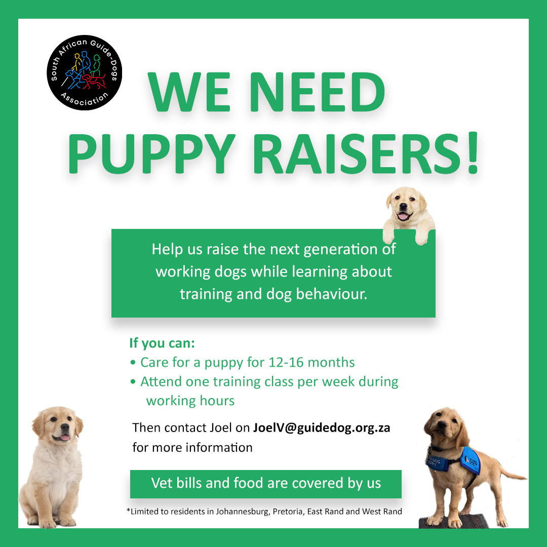 The South African GuideDogs Association is looking for volunteer puppy