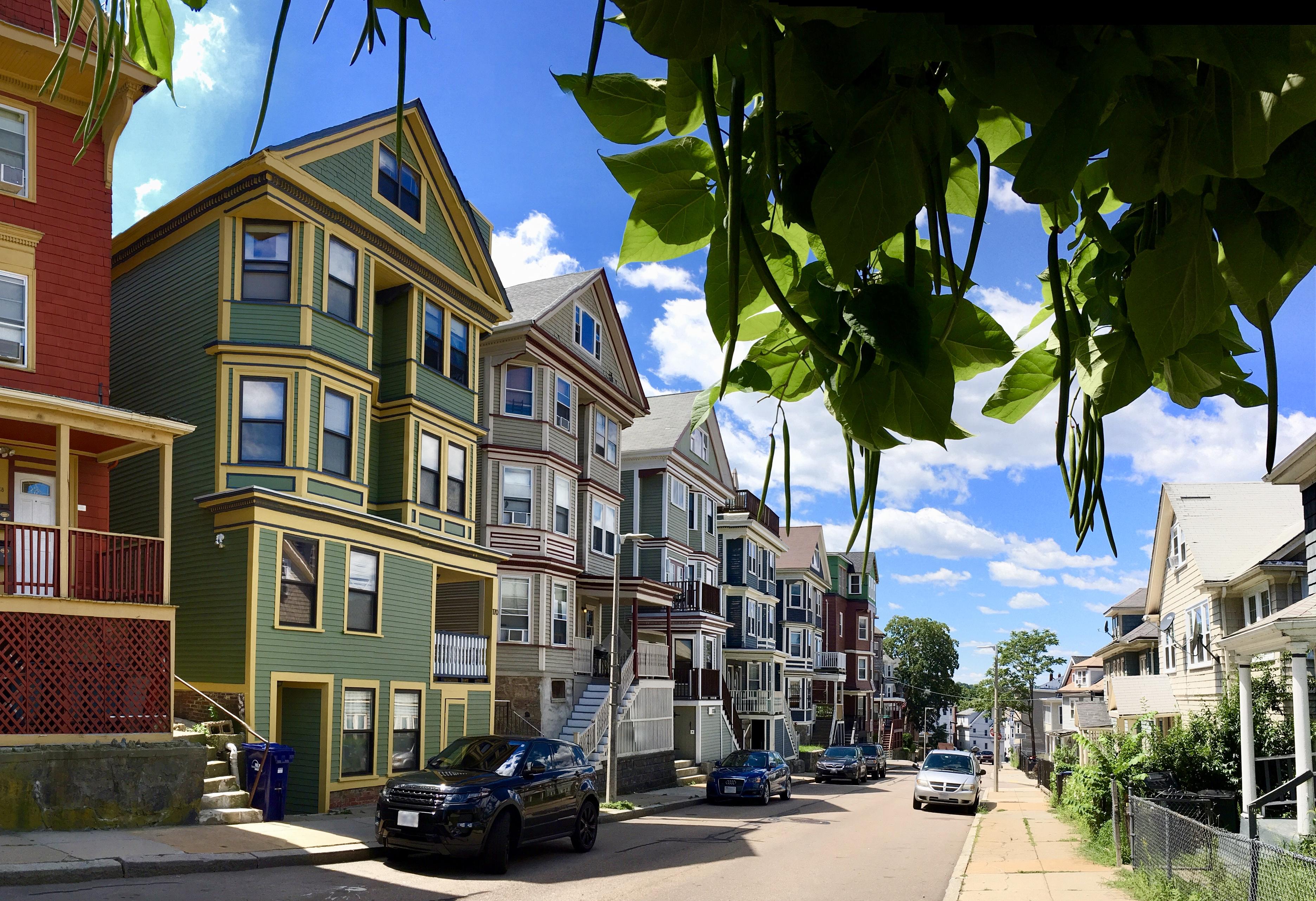 Beautiful Day in Mission Hill r/boston