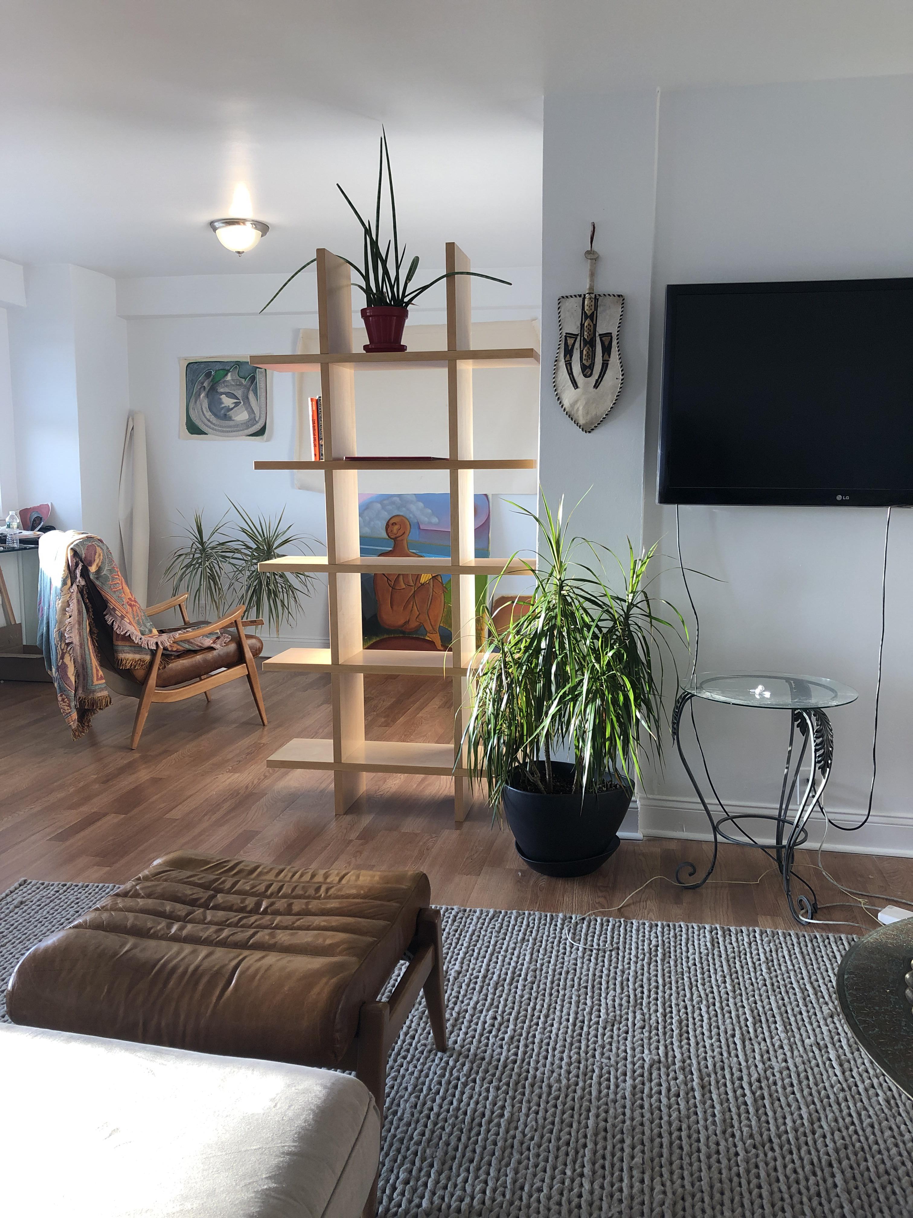 Thrifted a new bookcase.ID and thoughts? Trying to create the whole bookcase/divider aesthetic