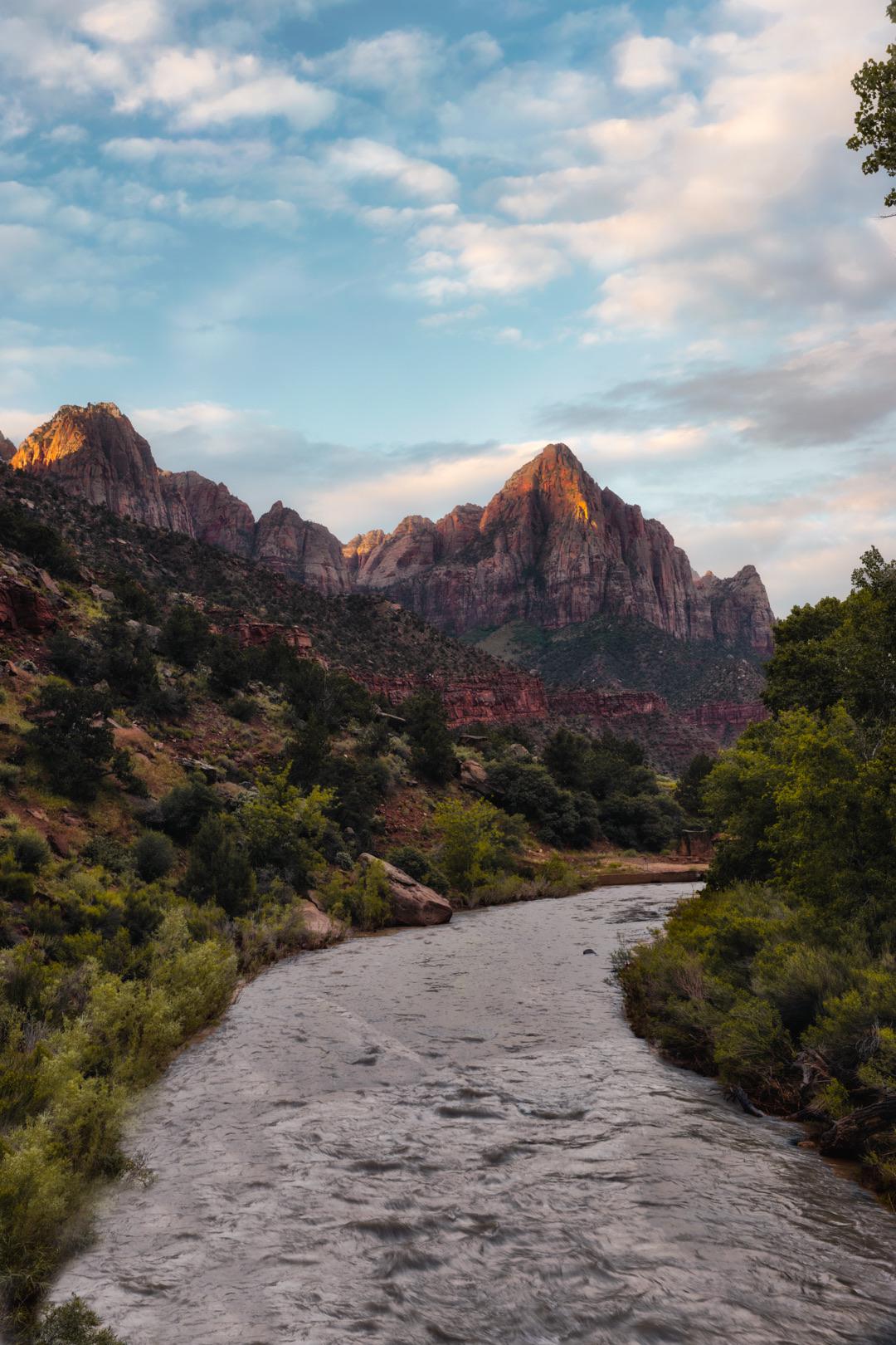 Spring morning in Zion national park [OC][1080x1620] r/EarthPorn