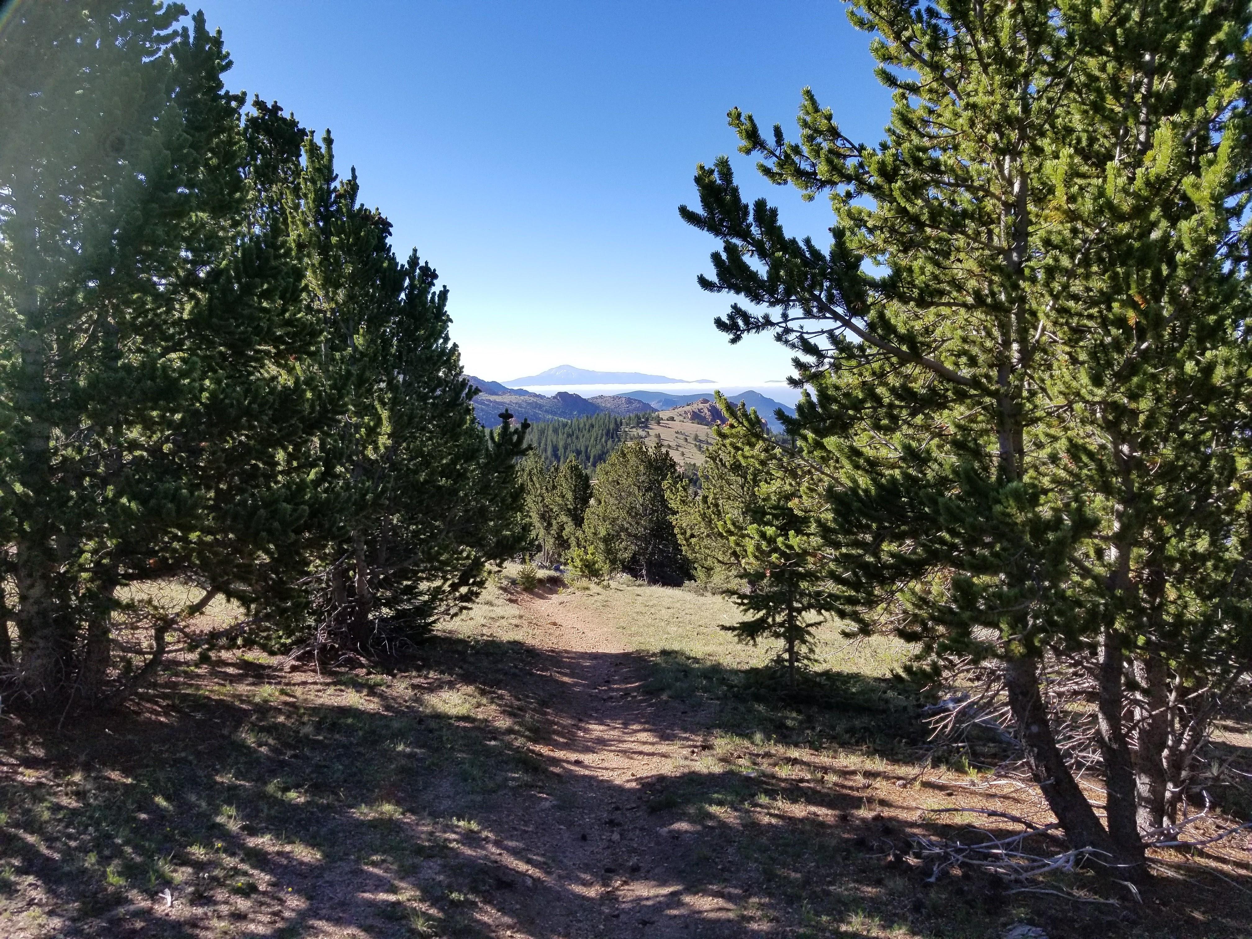 Pikes Peak from Bison Peak, Lost Creek Wilderness, Colorado, USA, June