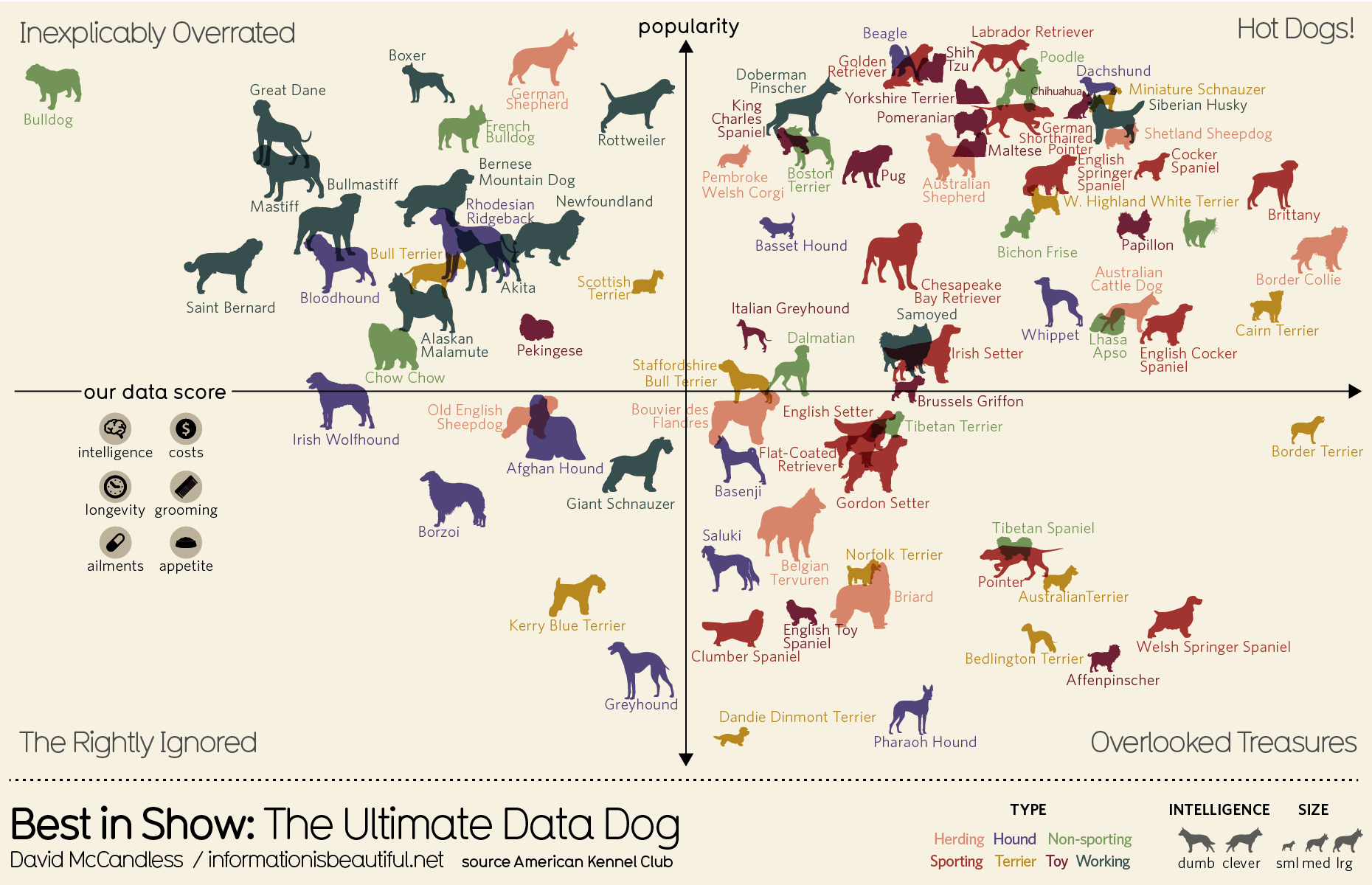 Dog breeds sorted by popularity and their perks (Intelligence, appetite