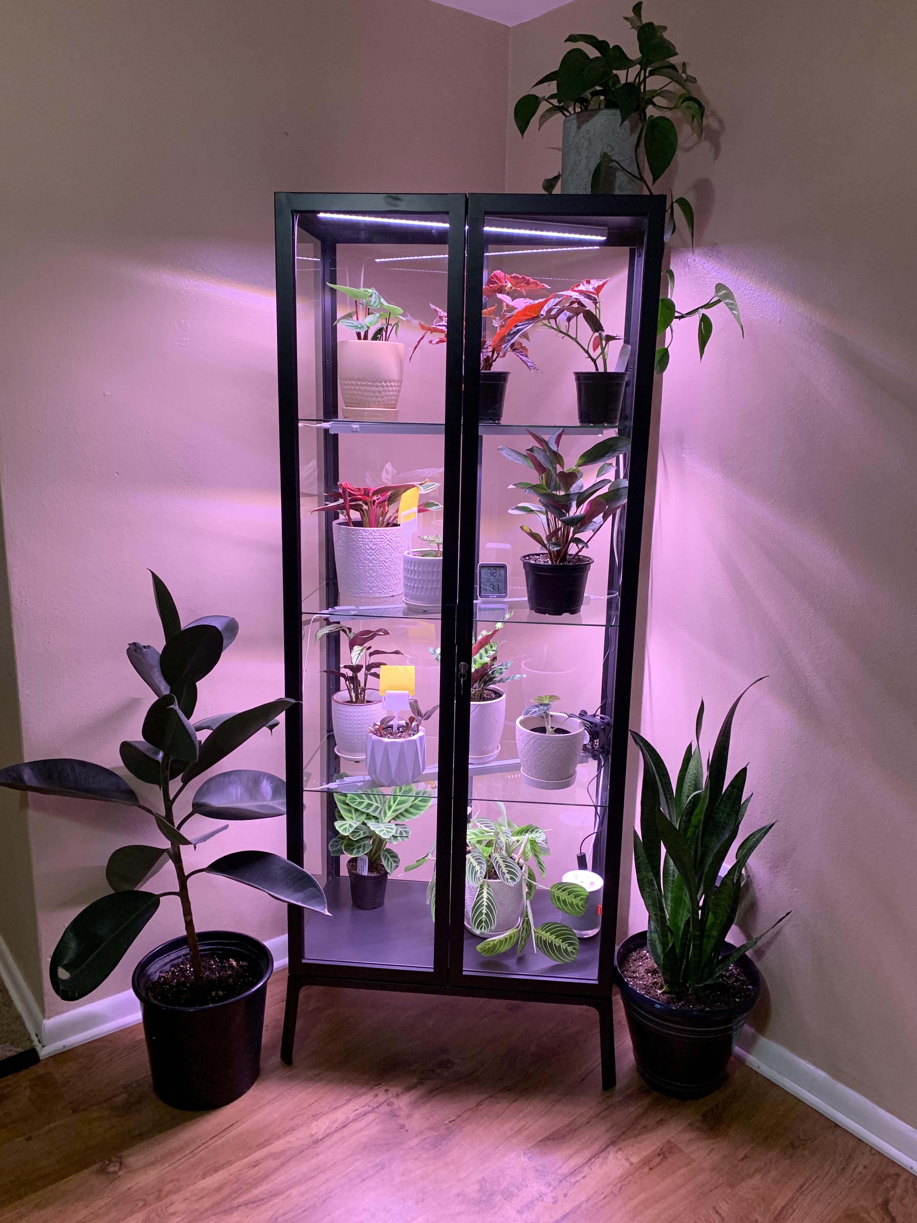 Obsessed with my new MILSBO