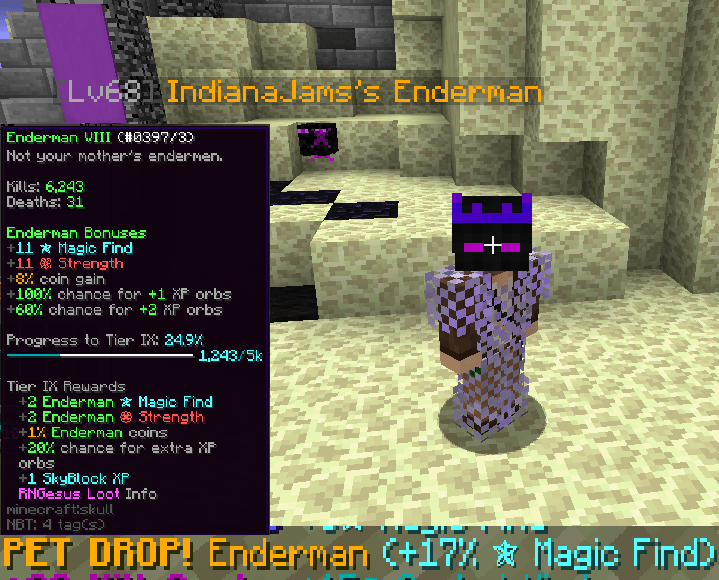 Got legendary enderman pet on my ironman pretty early! r/HypixelSkyblock