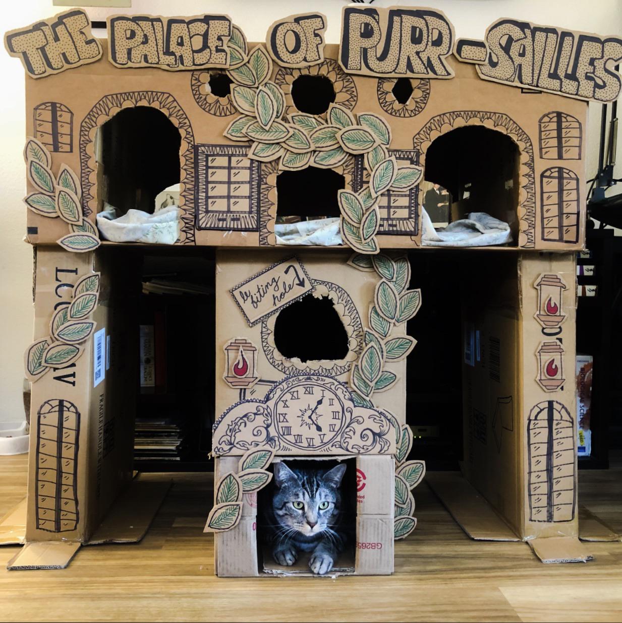 Been making cat housing out of all of these Amazon boxes, and they keep