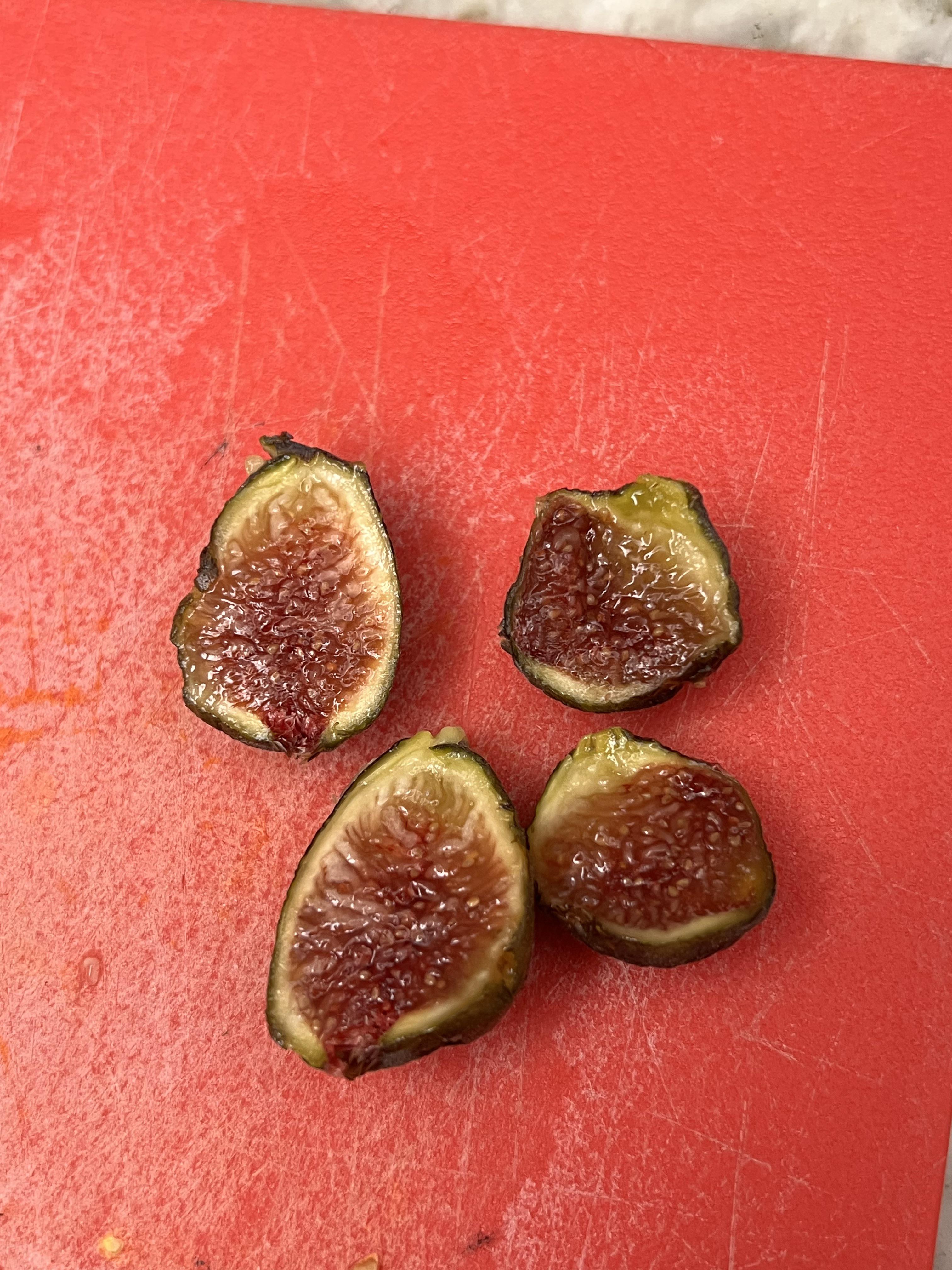 Some delicious Chicago Hardy figs! r/Figs