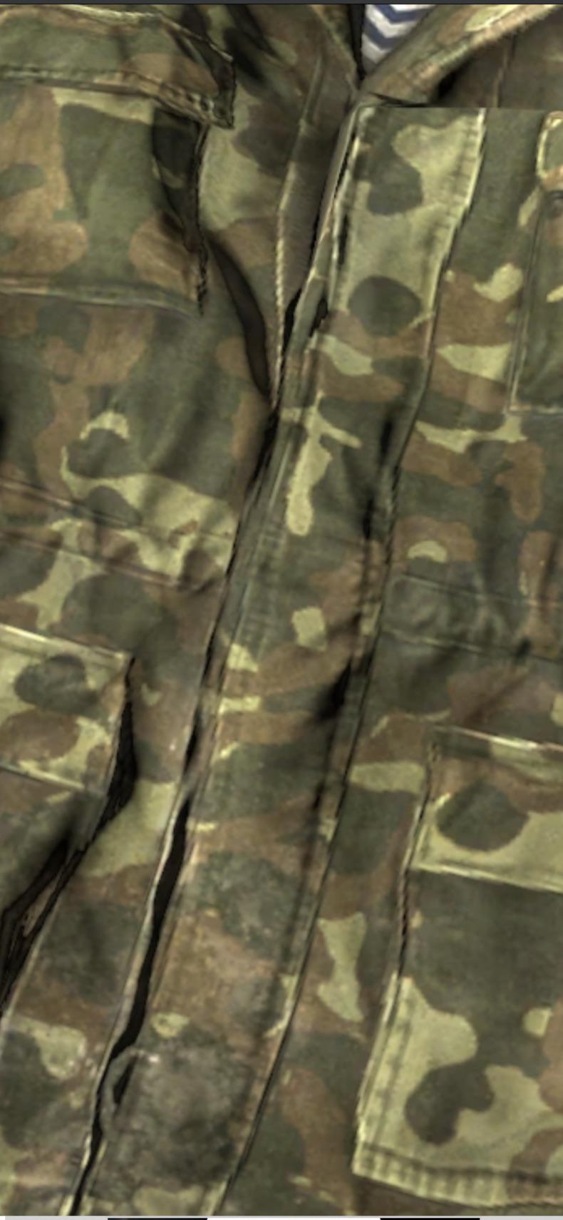 Best military camo for Livonia? r/dayz