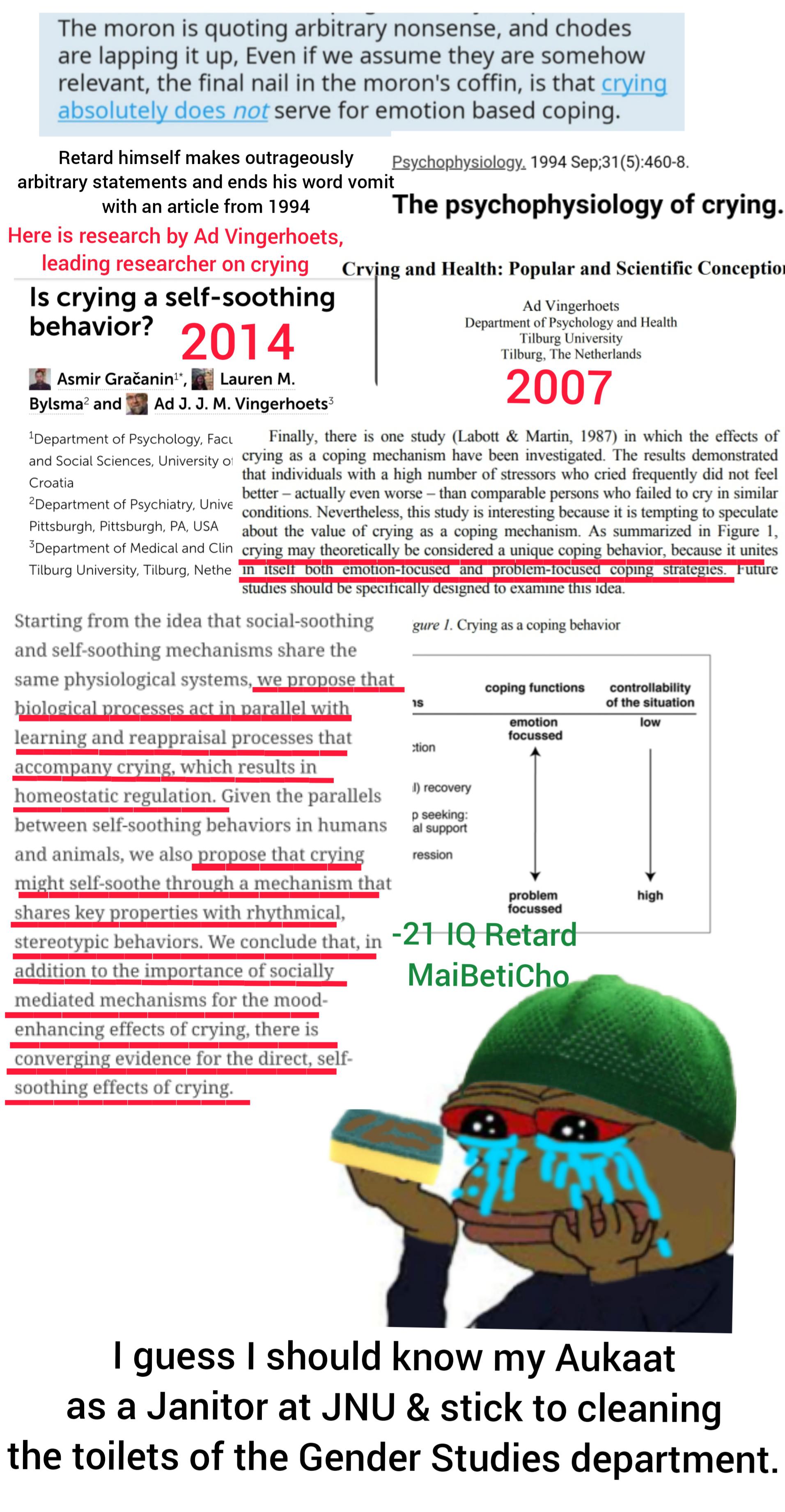 Unstable meme jannie creates work of art. r/librandu