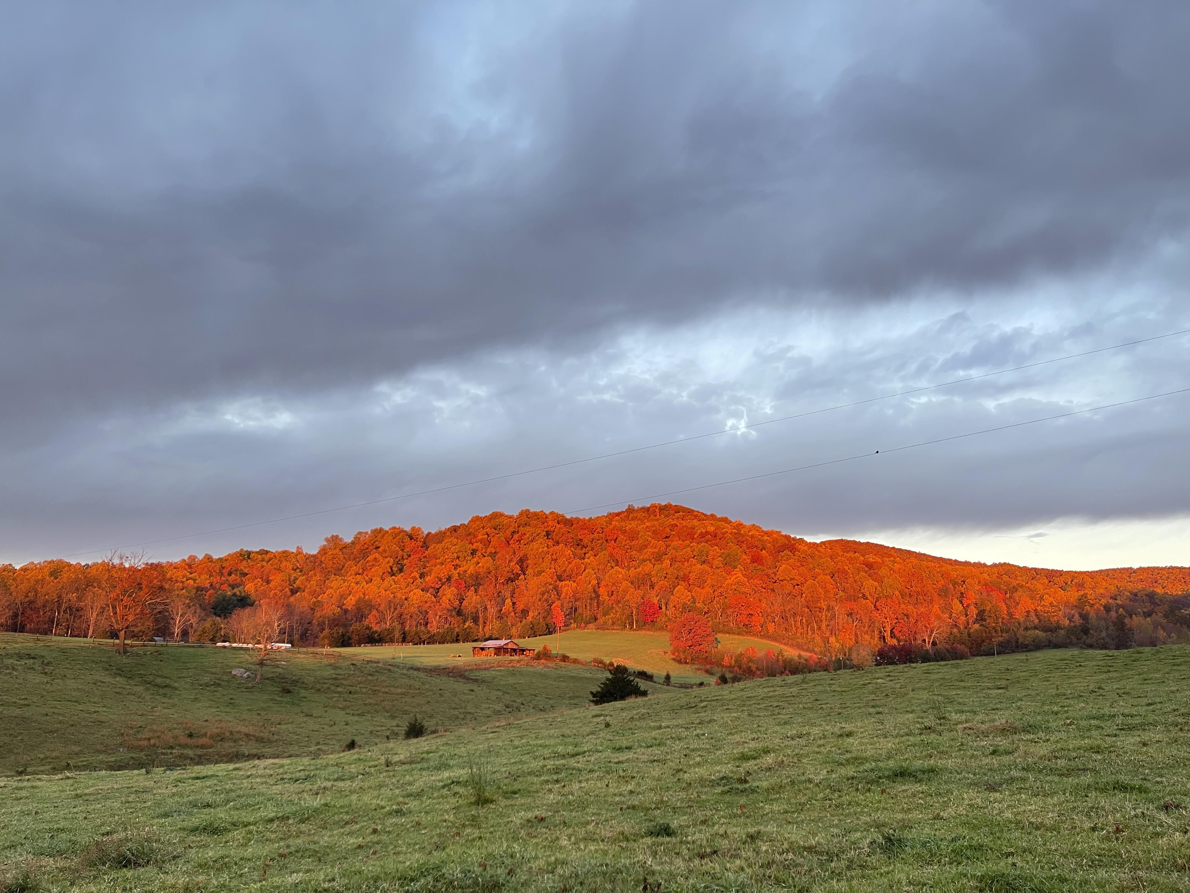 albemarle Reddit post and comment search SocialGrep