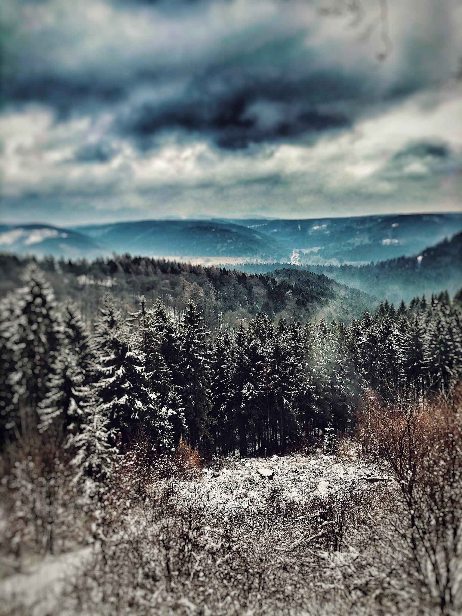 Harz Mountains (Germany) r/hiking