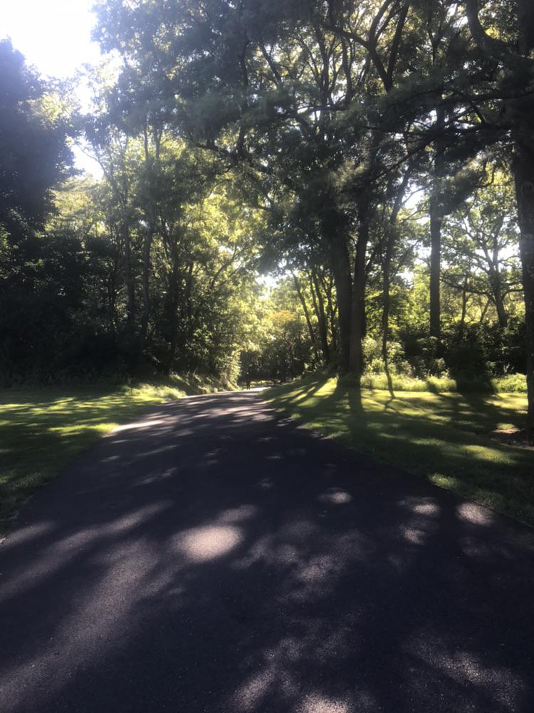 Trexler Park r/lehighvalley