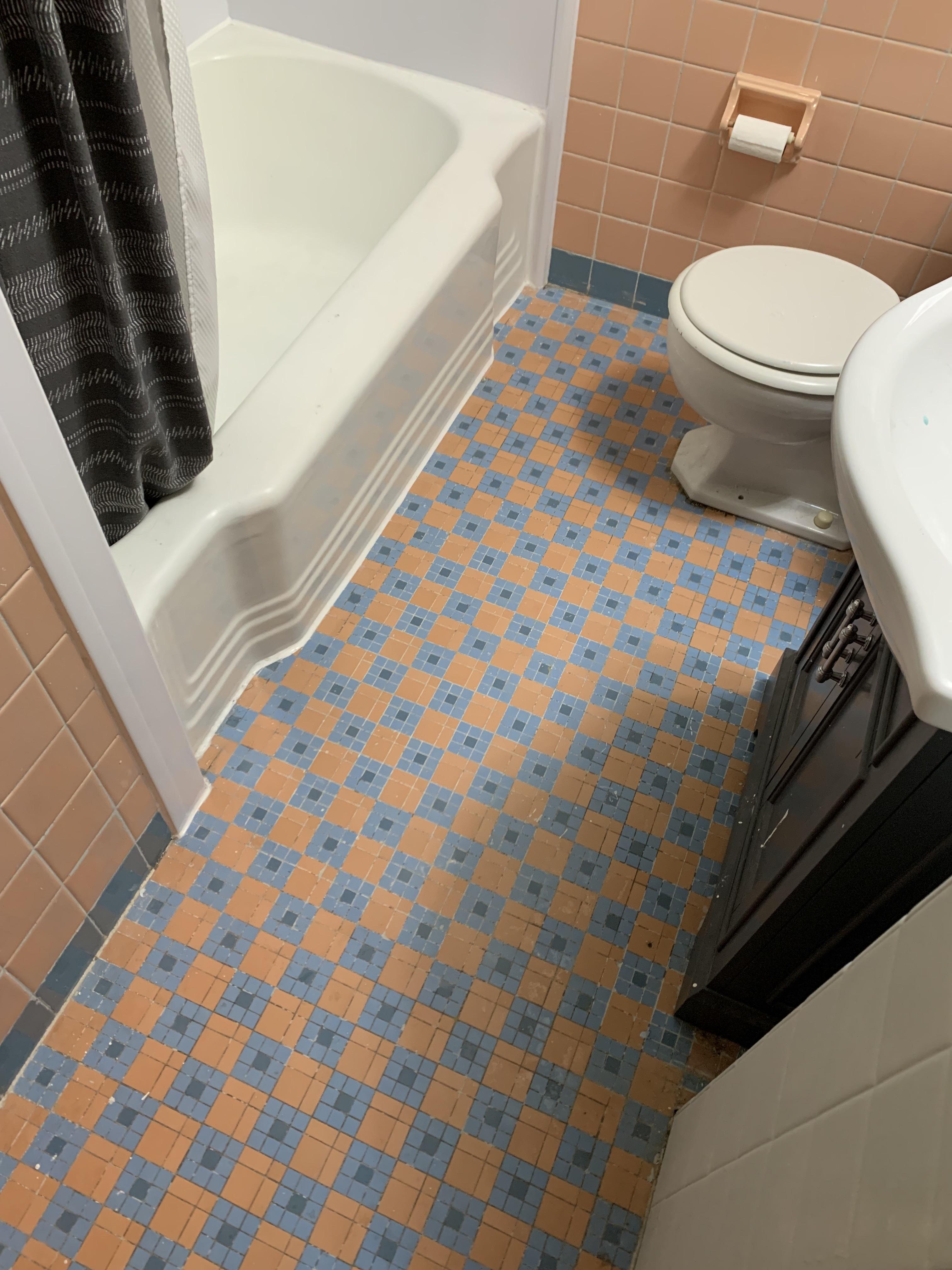 Ideas for updating bathroom floor tile? Considering DIY painting or