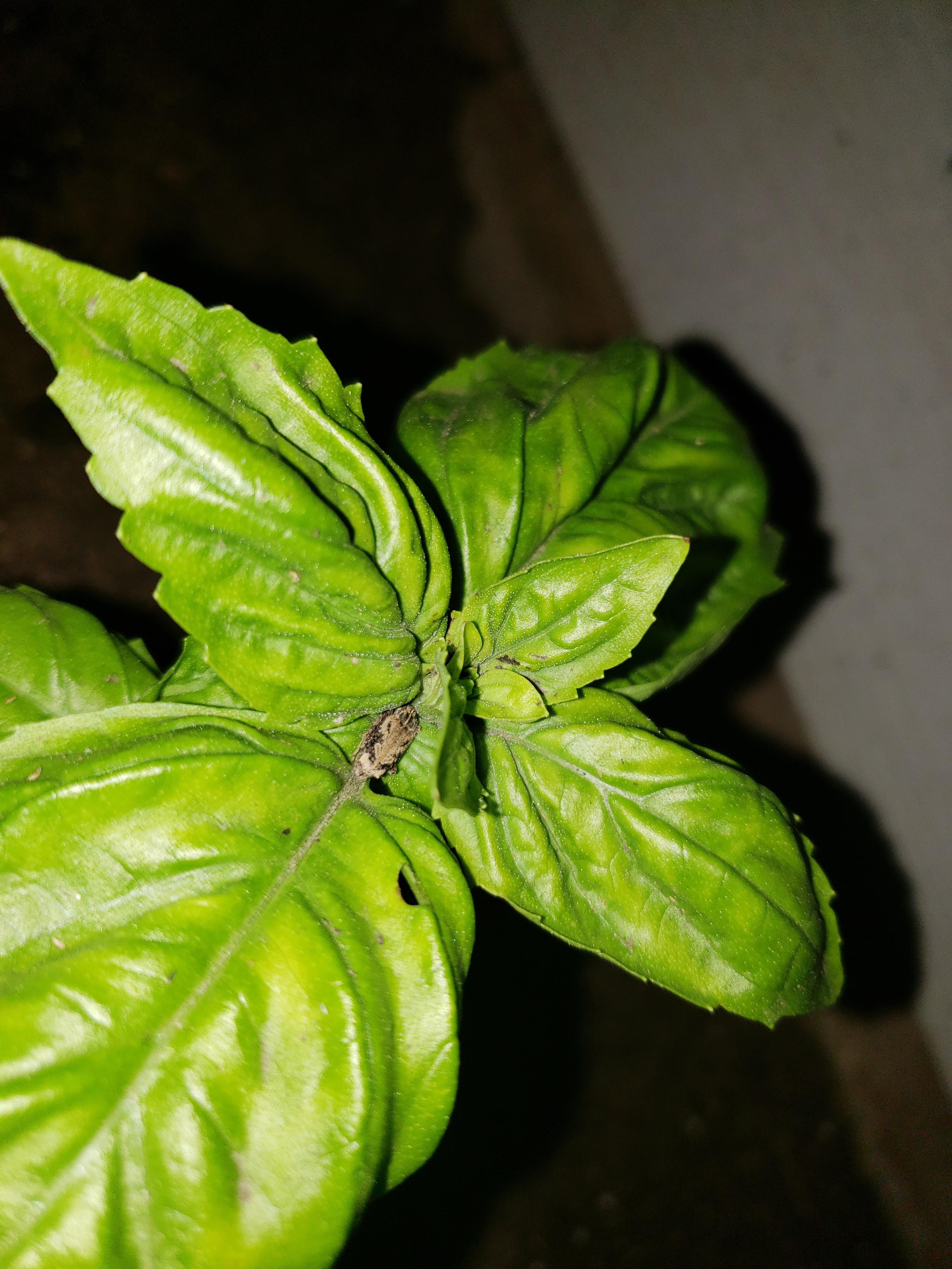 I found the culprit!..now what is it? I posted yesterday asking for