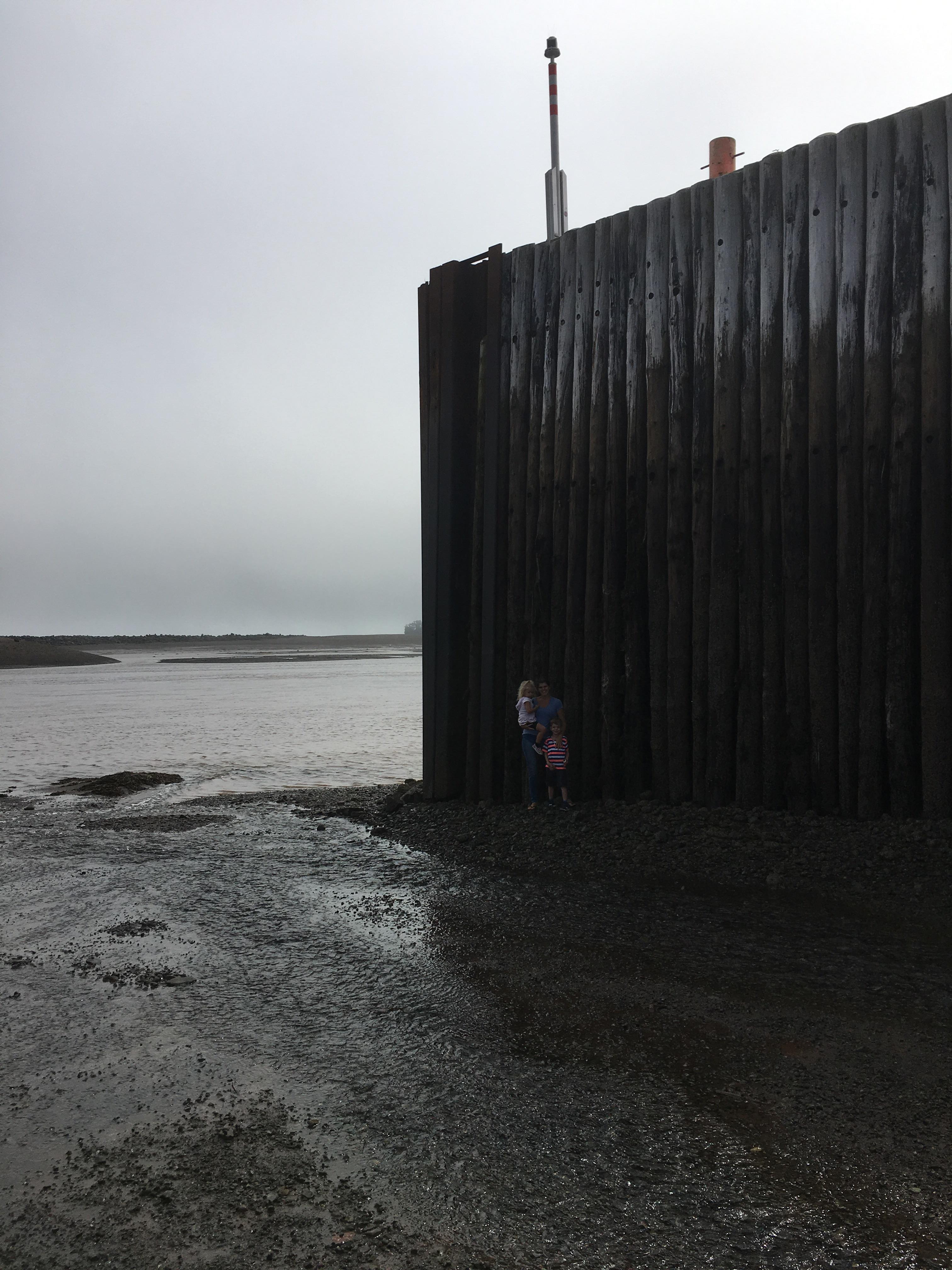 Took the family to low tide at one of the locations that has the