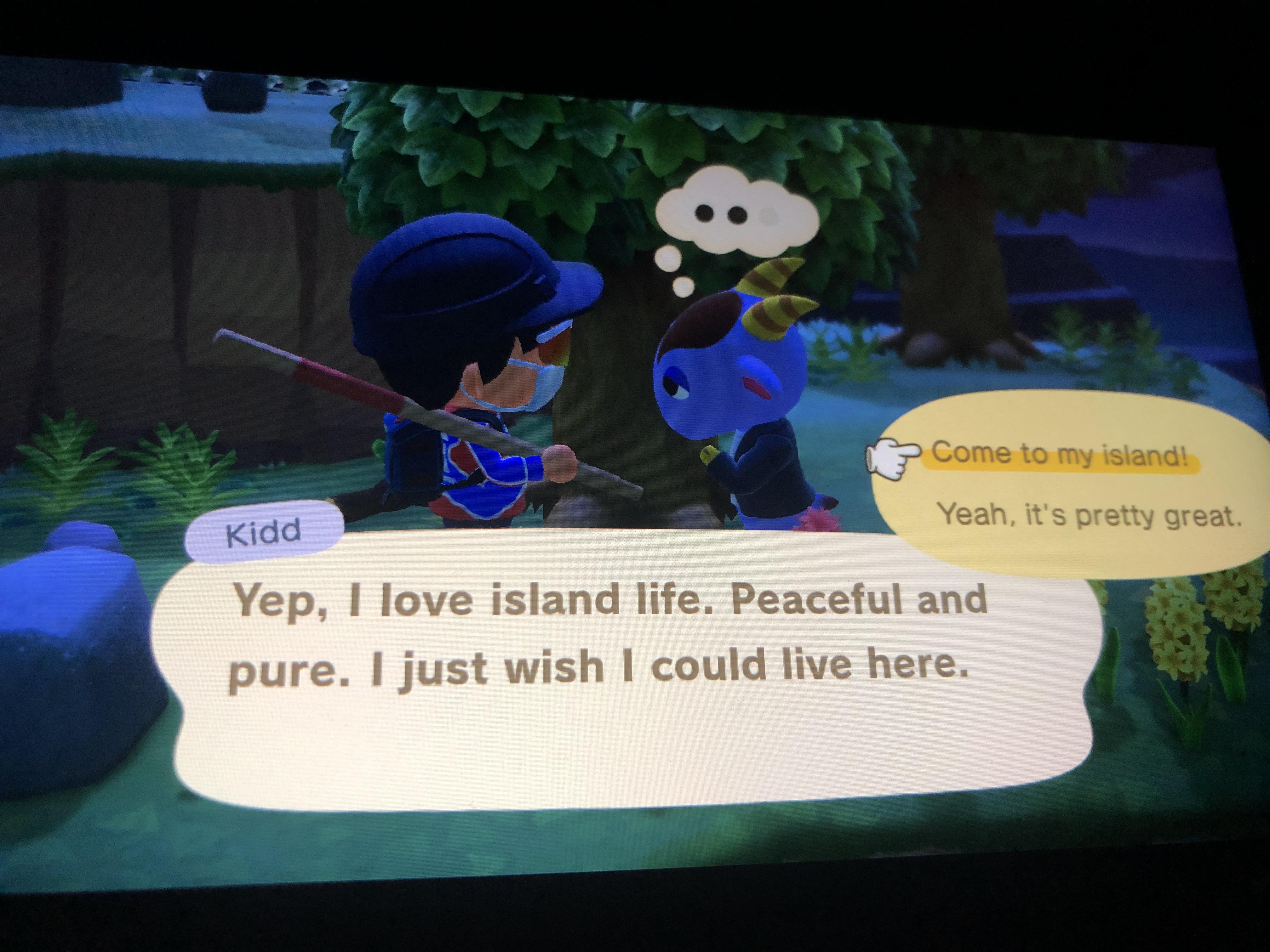 So how’s Kidd treating all of you? r/AnimalCrossing