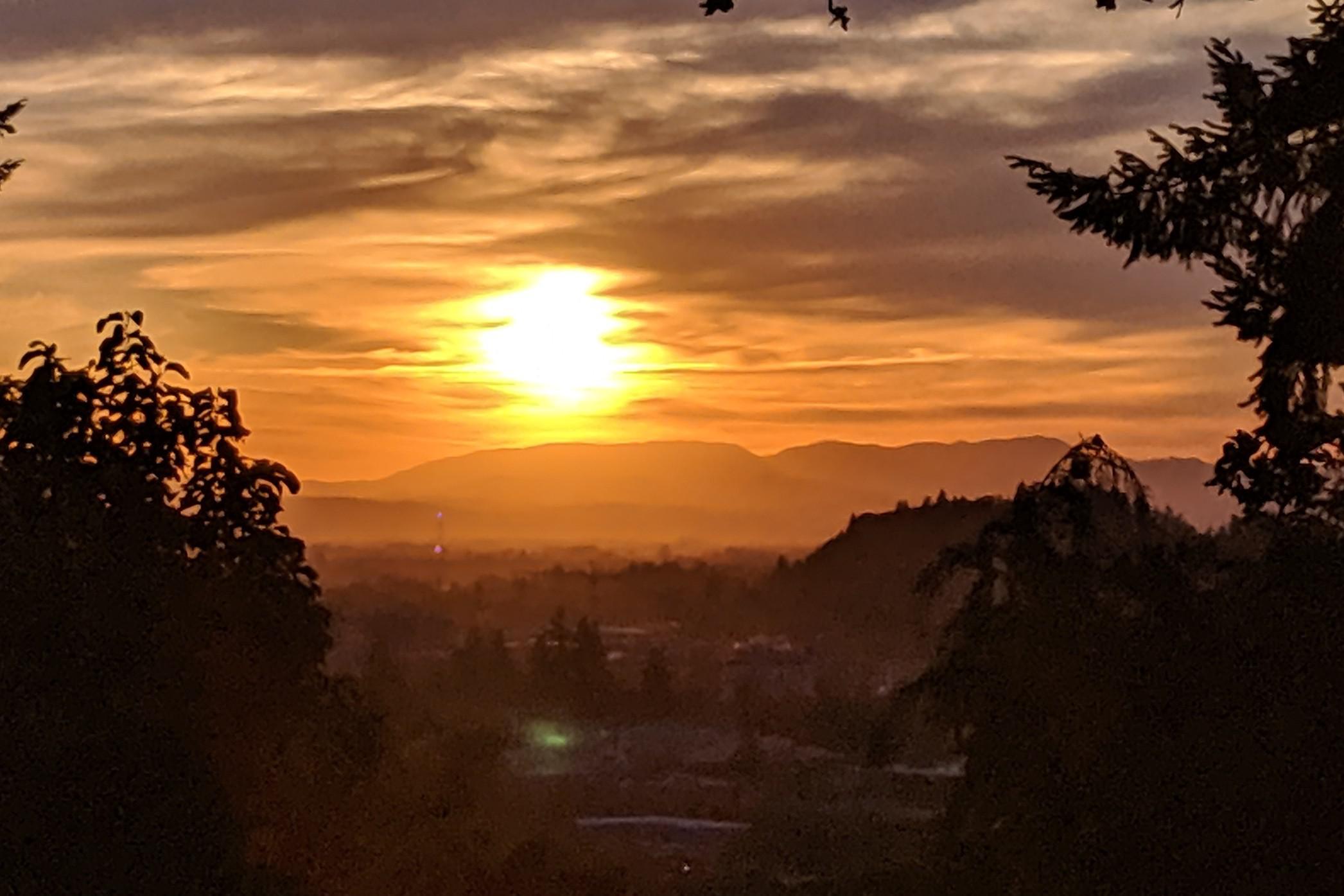 Eugene Sunset from Hendricks Park r/Eugene