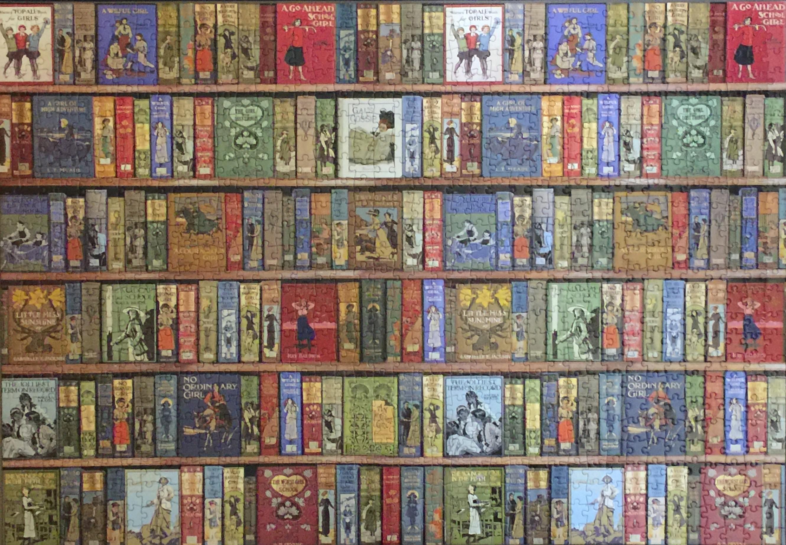 "High Jinks! Bookshelves," a 1000piece puzzle from Flame Tree. Late