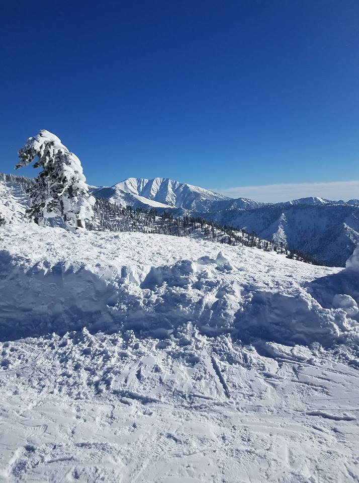 Figured I'd share this 2/8/19 Wrightwood, California r/skiing