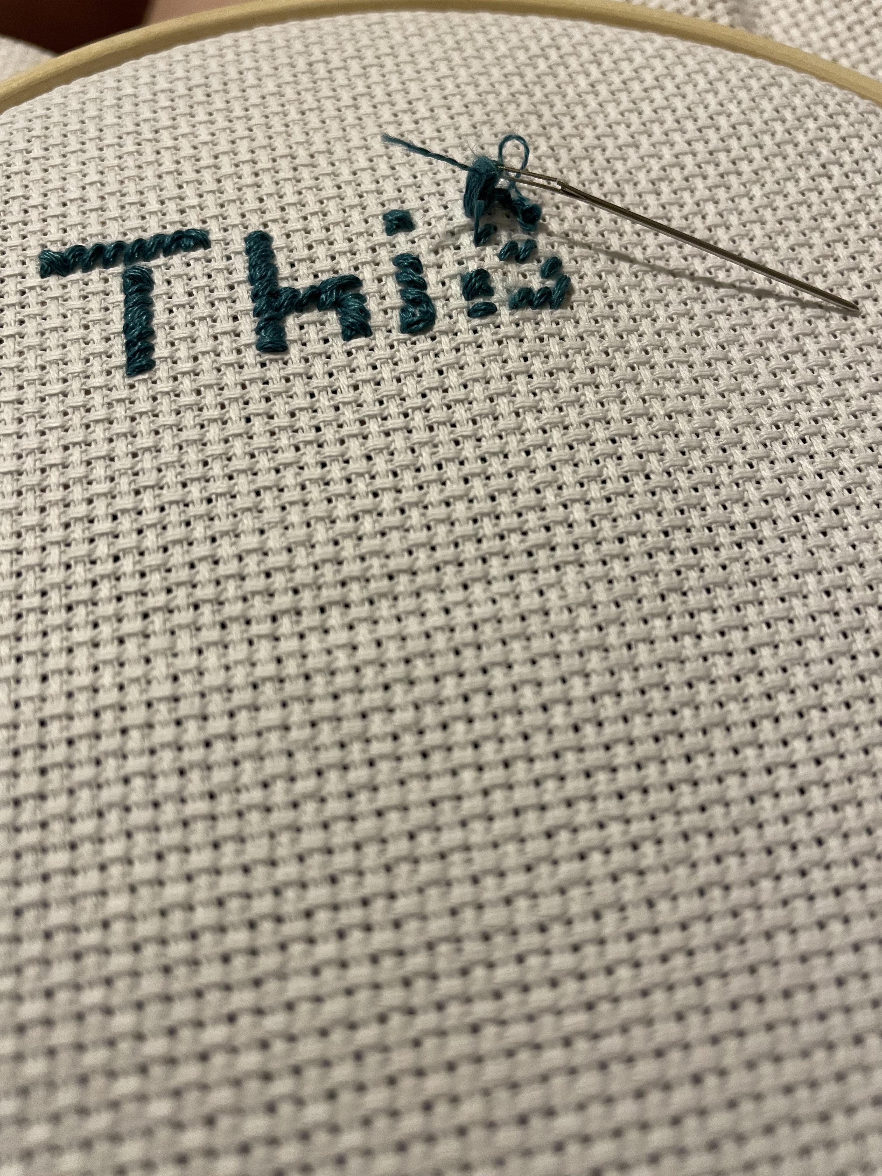 Decided to try crossstitching and my needle broke r/Wellthatsucks