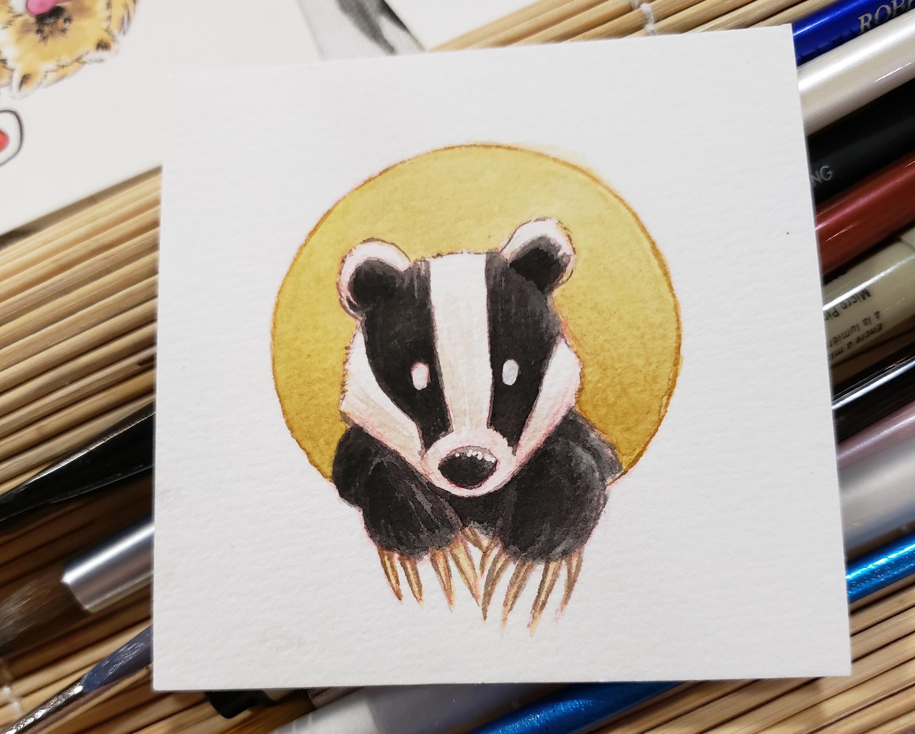 Harry Potter House Mascot paintings! I did one for each house. Thought