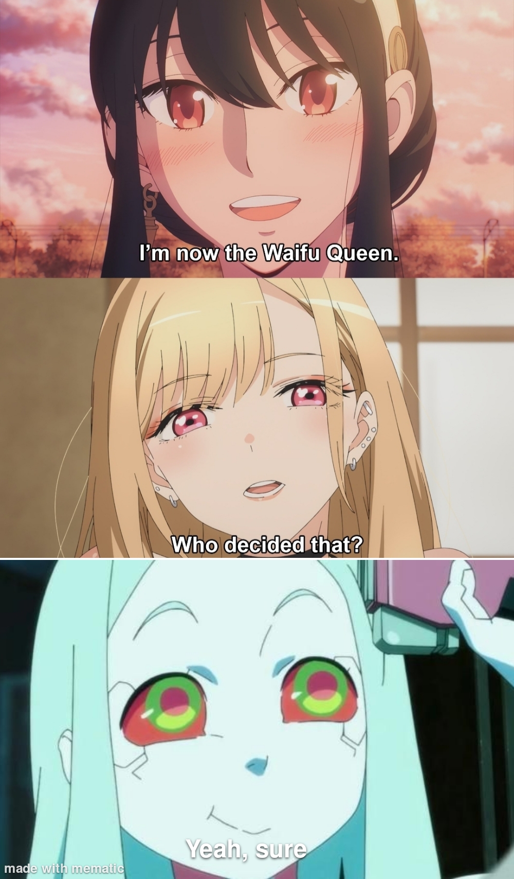 New waifu leaked : AnimeMeme