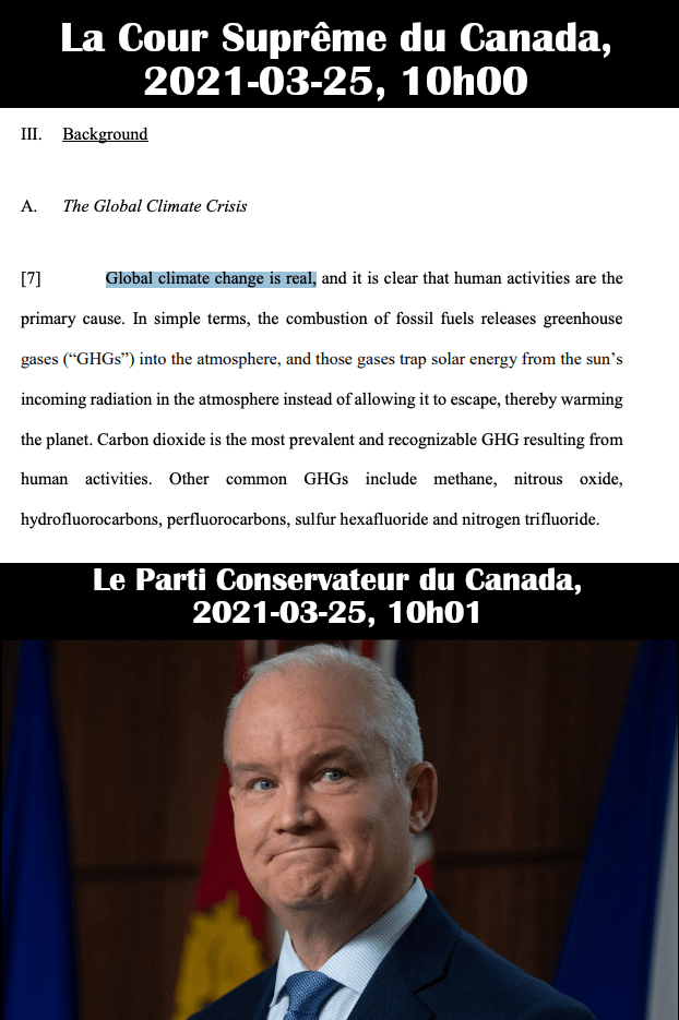 Ce jugement fait doublement mal aux conservateurs! Ça va