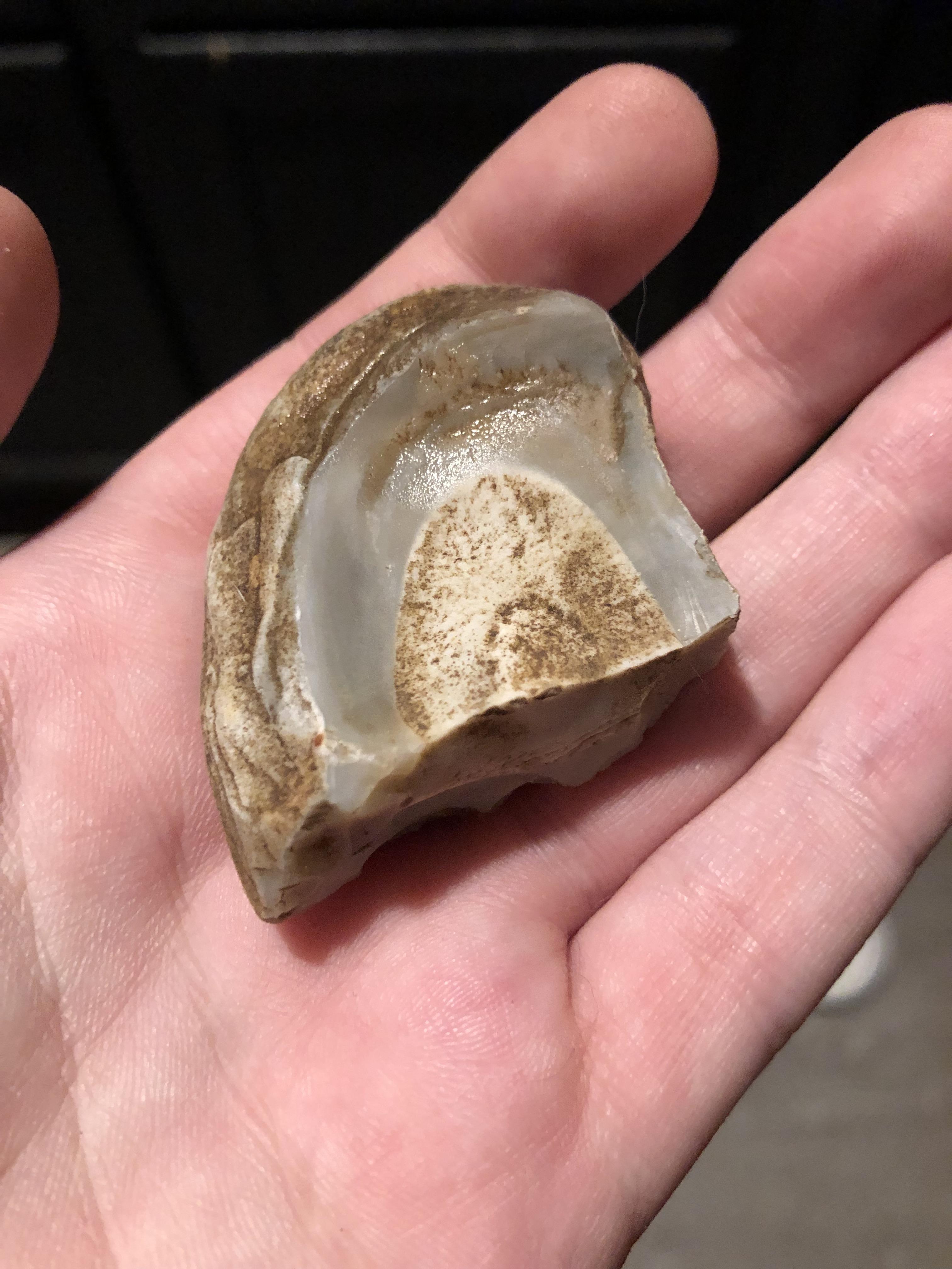 Is this a fossil or just a rock? Found in central MO. fossilid