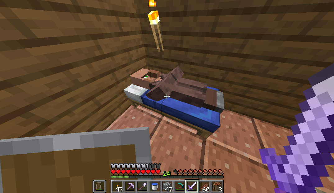 This villager somehow appeared in my house and slept in my bed. The