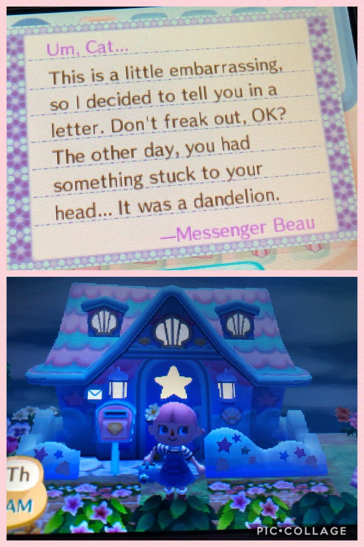 Thanks Beau, it’s a white cosmos... r/AnimalCrossing