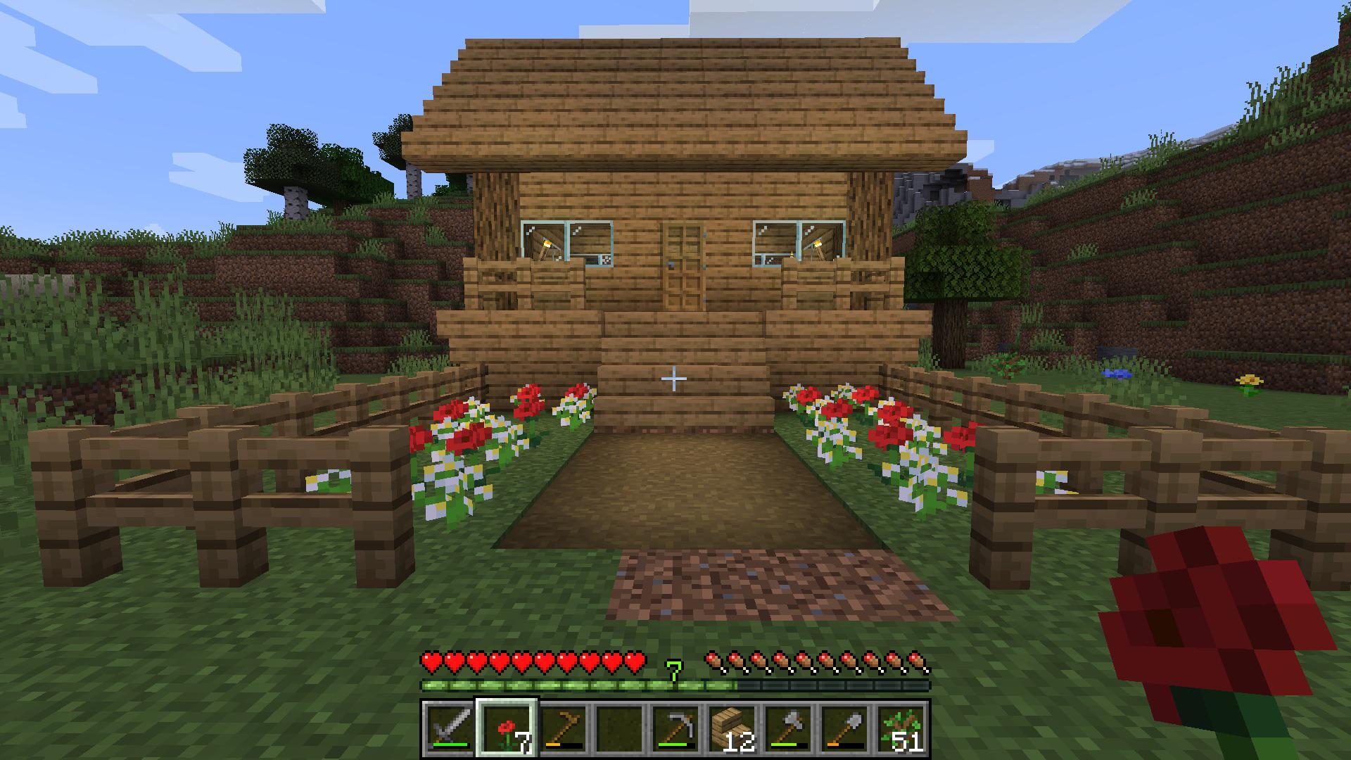 I Made A Nice Little House It's 9 Wide And 6 Long: Minecraft