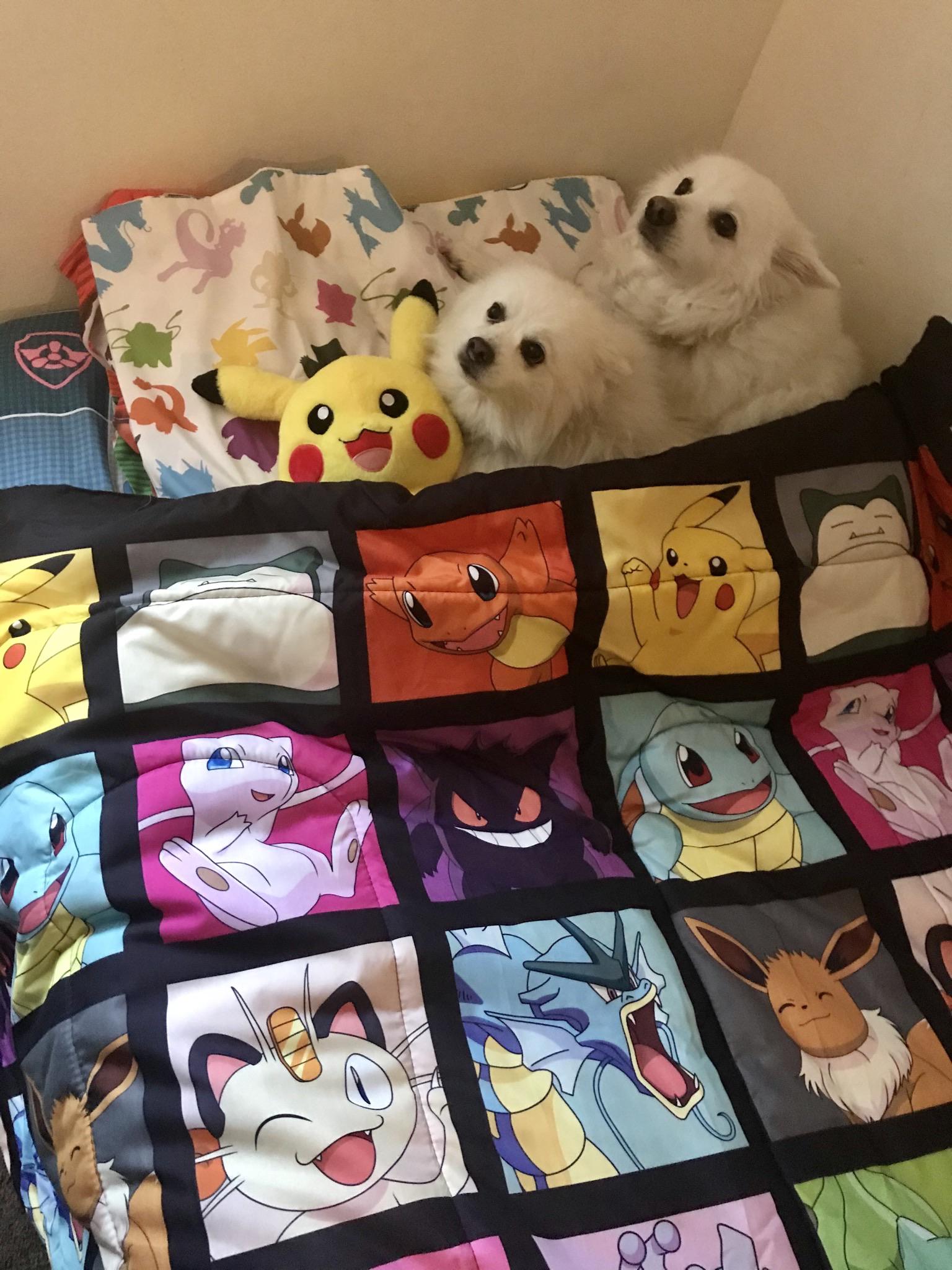 [Thanks] to BrotherCalzone for the awesome Pokemon bedding r/Random