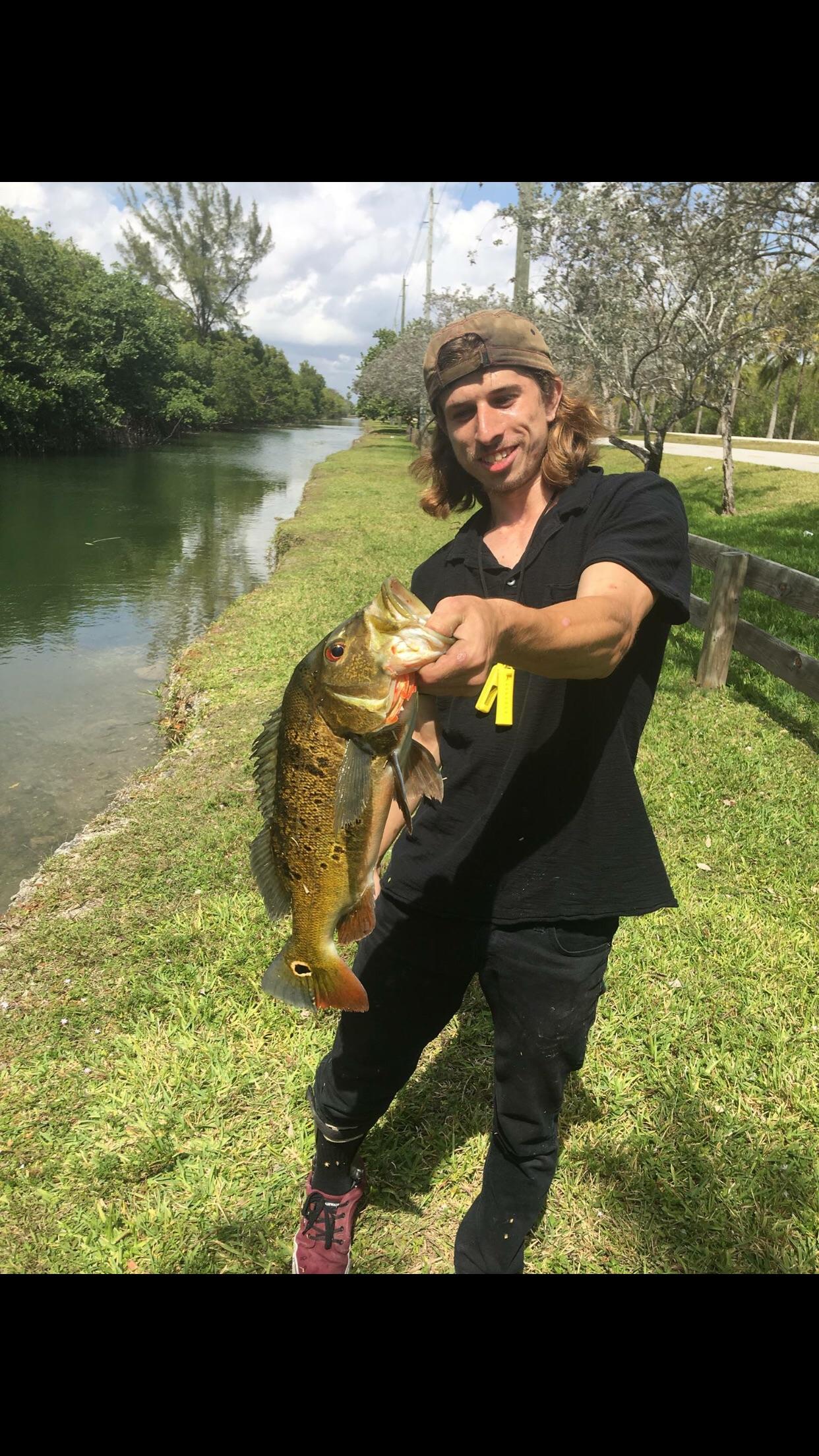 Nice sized Female Pea out of homestead, originally intended to hook up