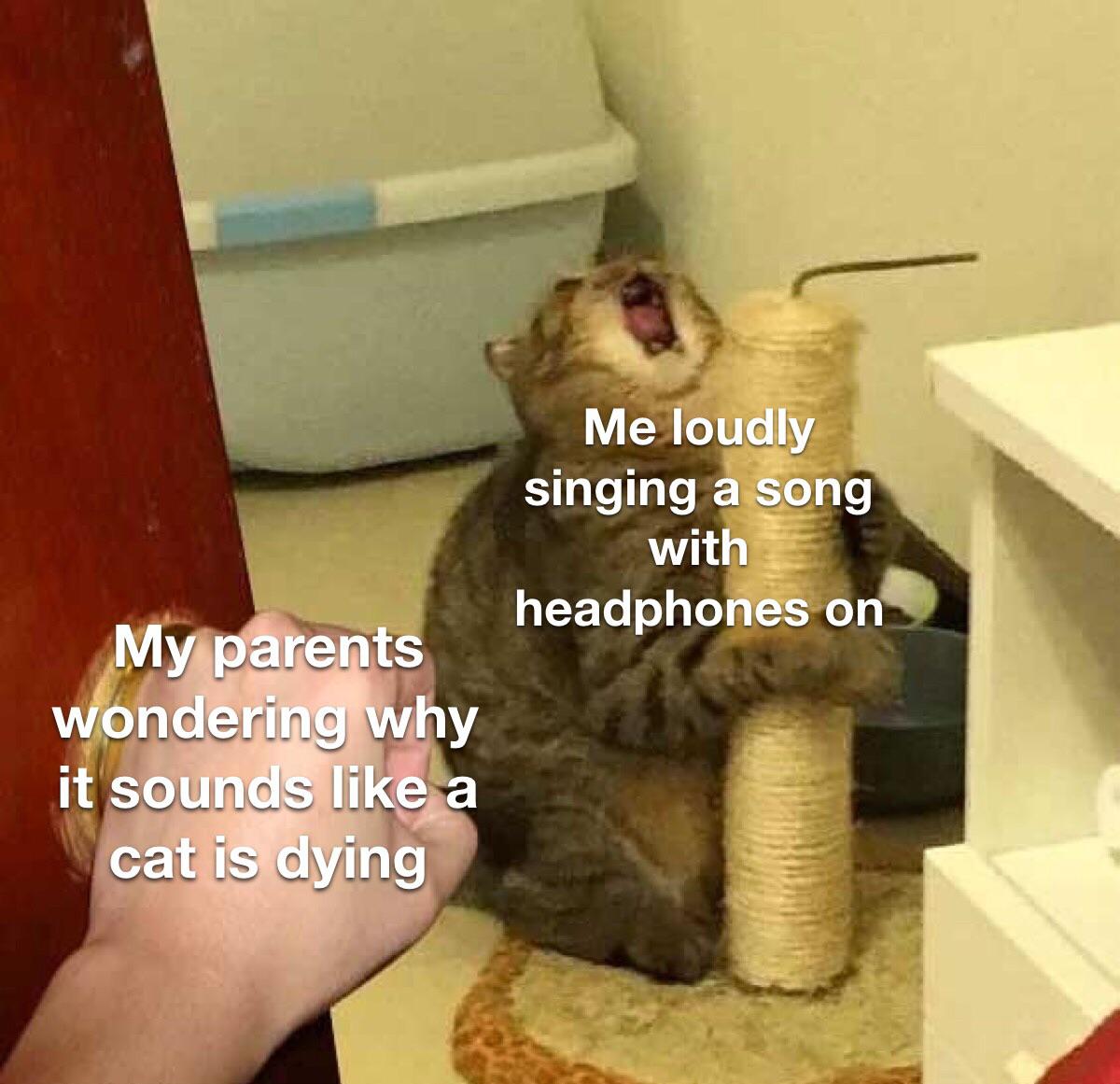 What’s that noise ? r/memes