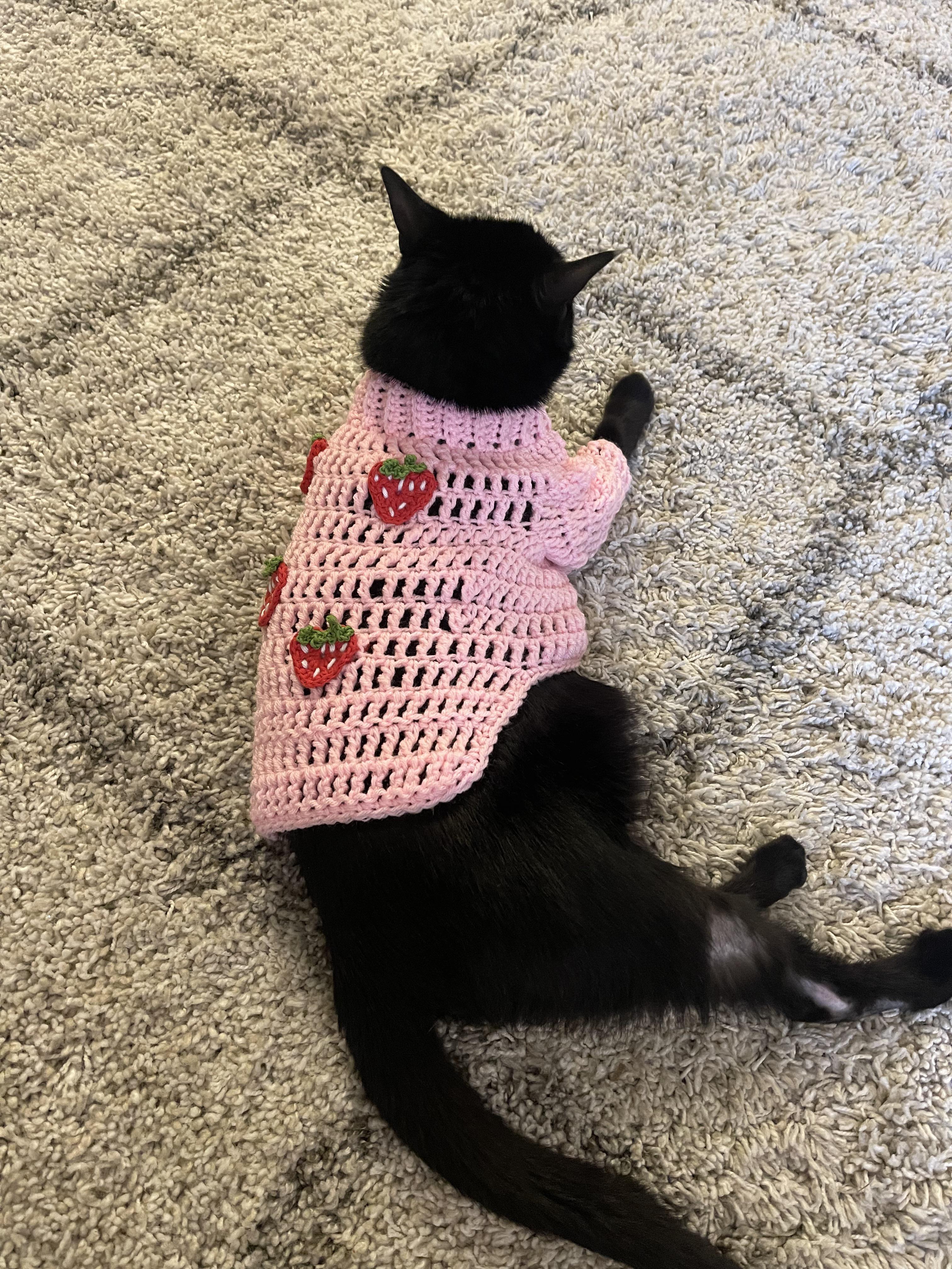 Cats In Sweaters