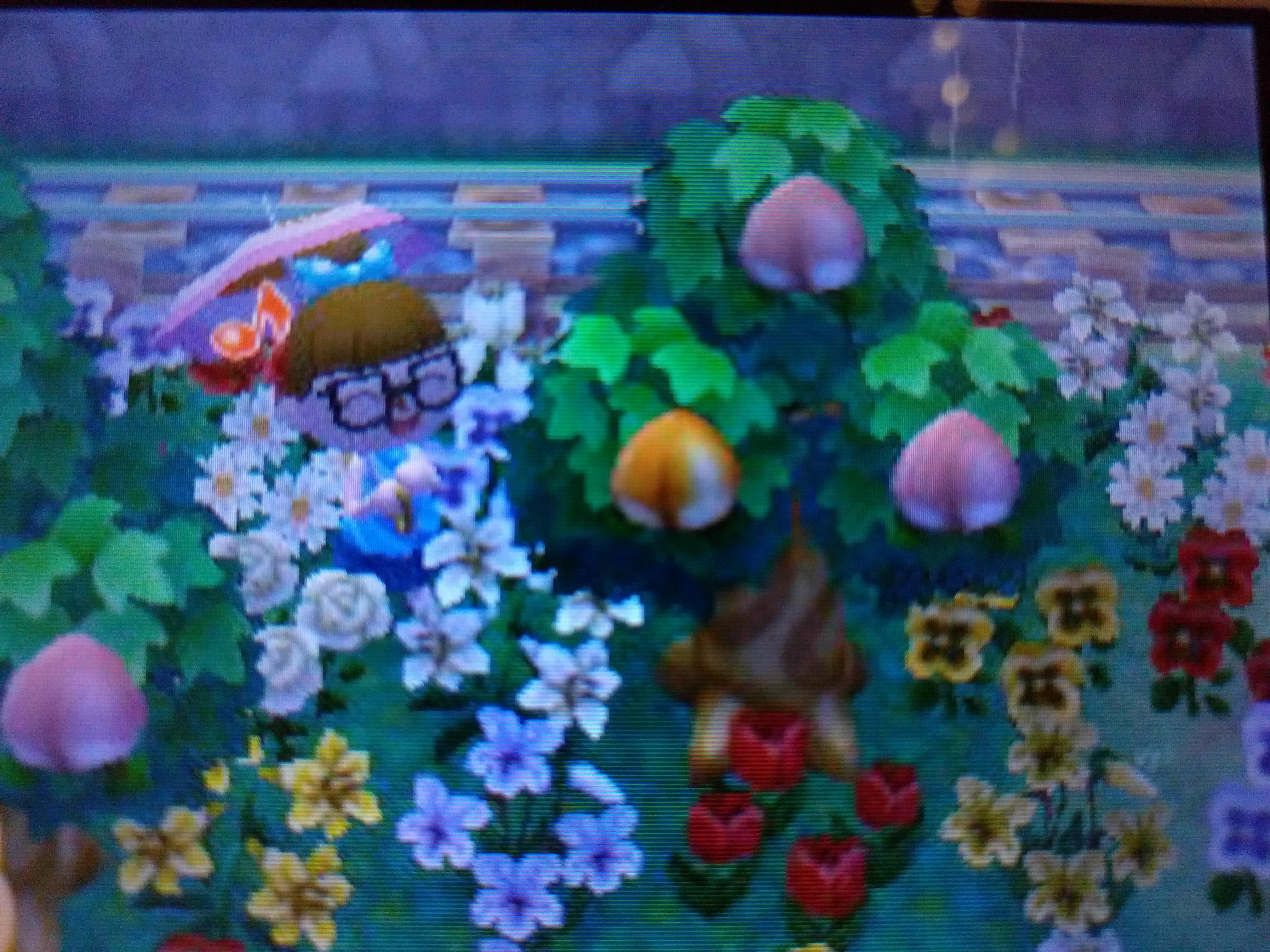 Fruit Trees Home Gardening Apple, Cherry, Pear, Plum Acnl All Fruit