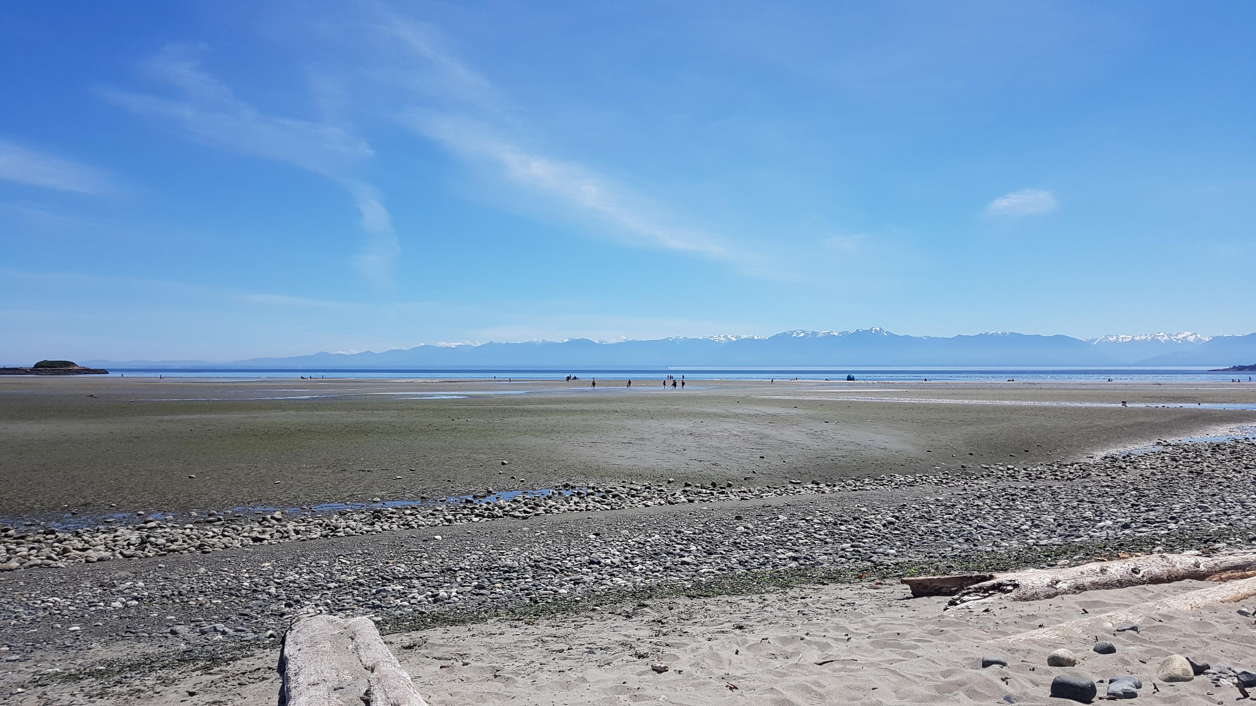 The beach at Witty's lagoon was the perfect place to be this afternoon