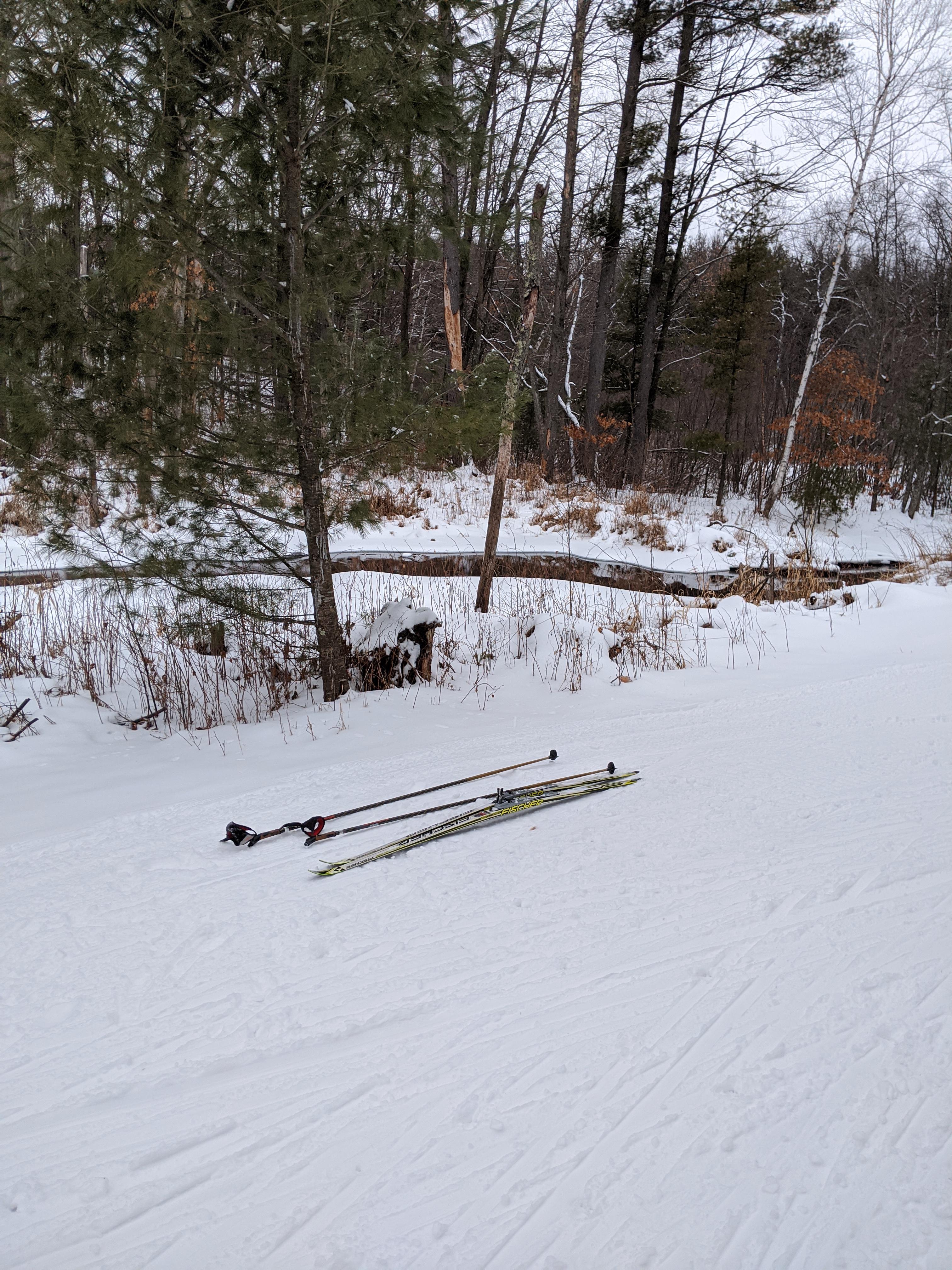 One of those great days to be on the snow. Iola, WI r/xcountryskiing